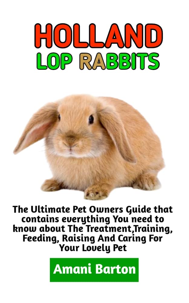 HOLLAND LOP RABBITS The Ultimate Guide To Holland Lop Rabbits Care