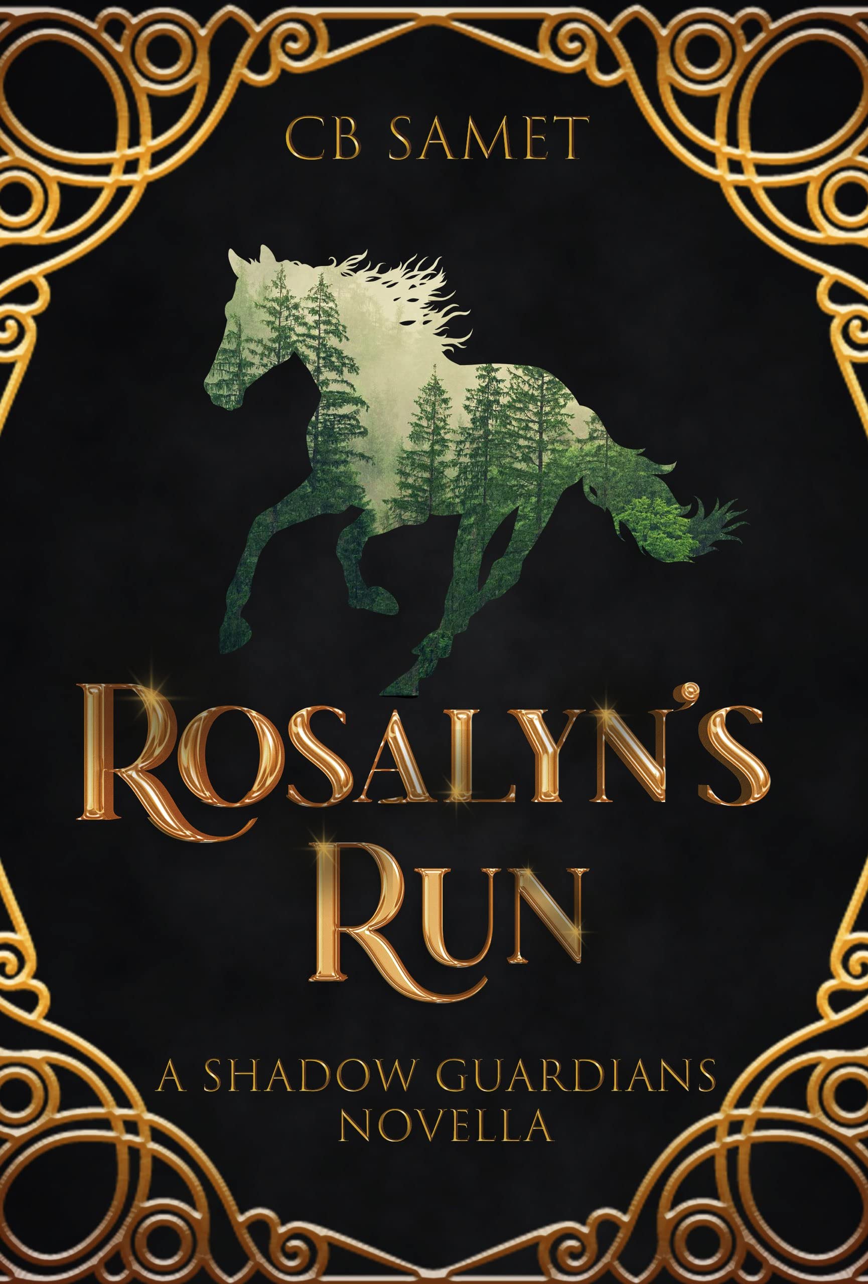 Rosalyn's Run book cover