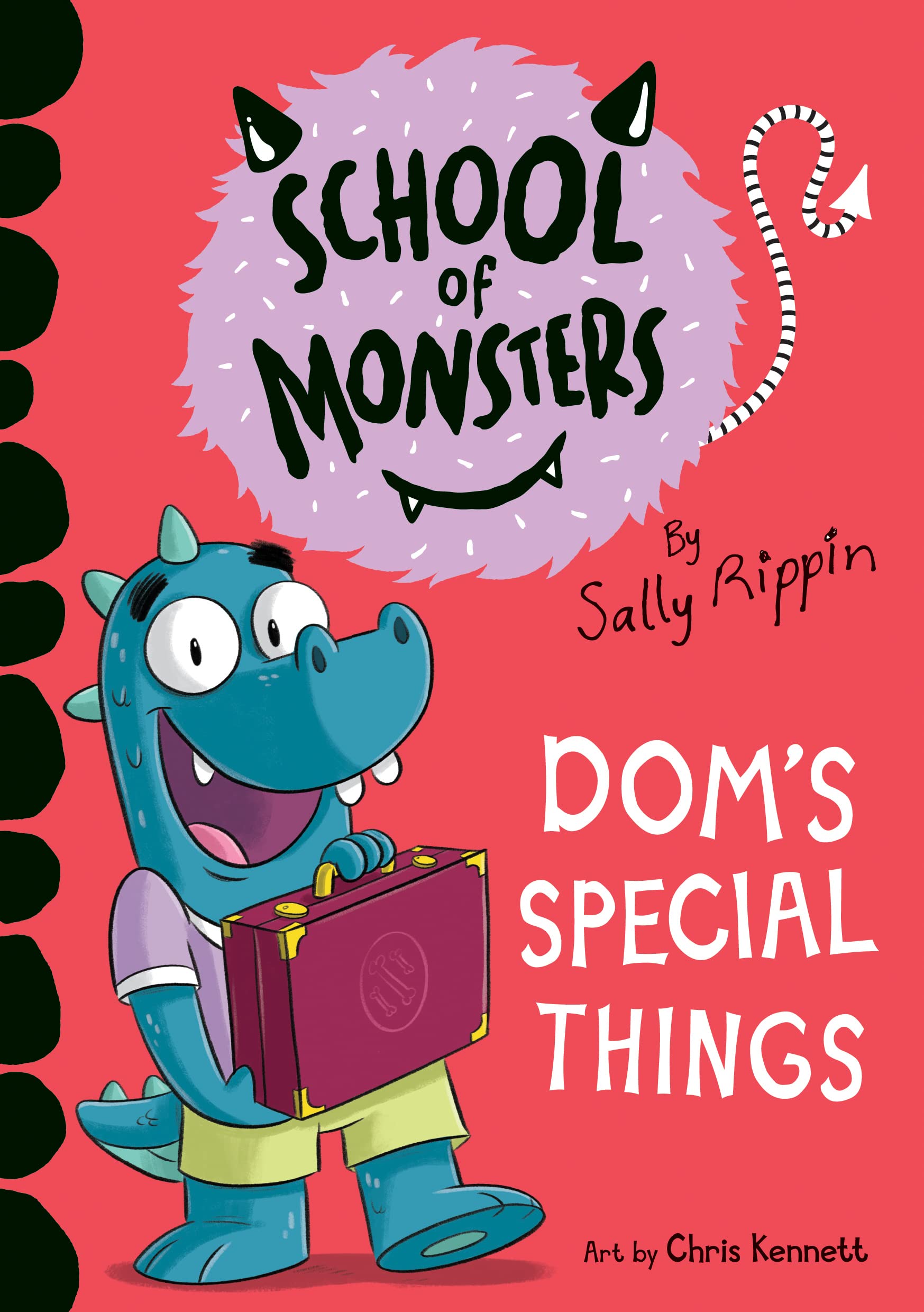 Dom's Special Things book cover