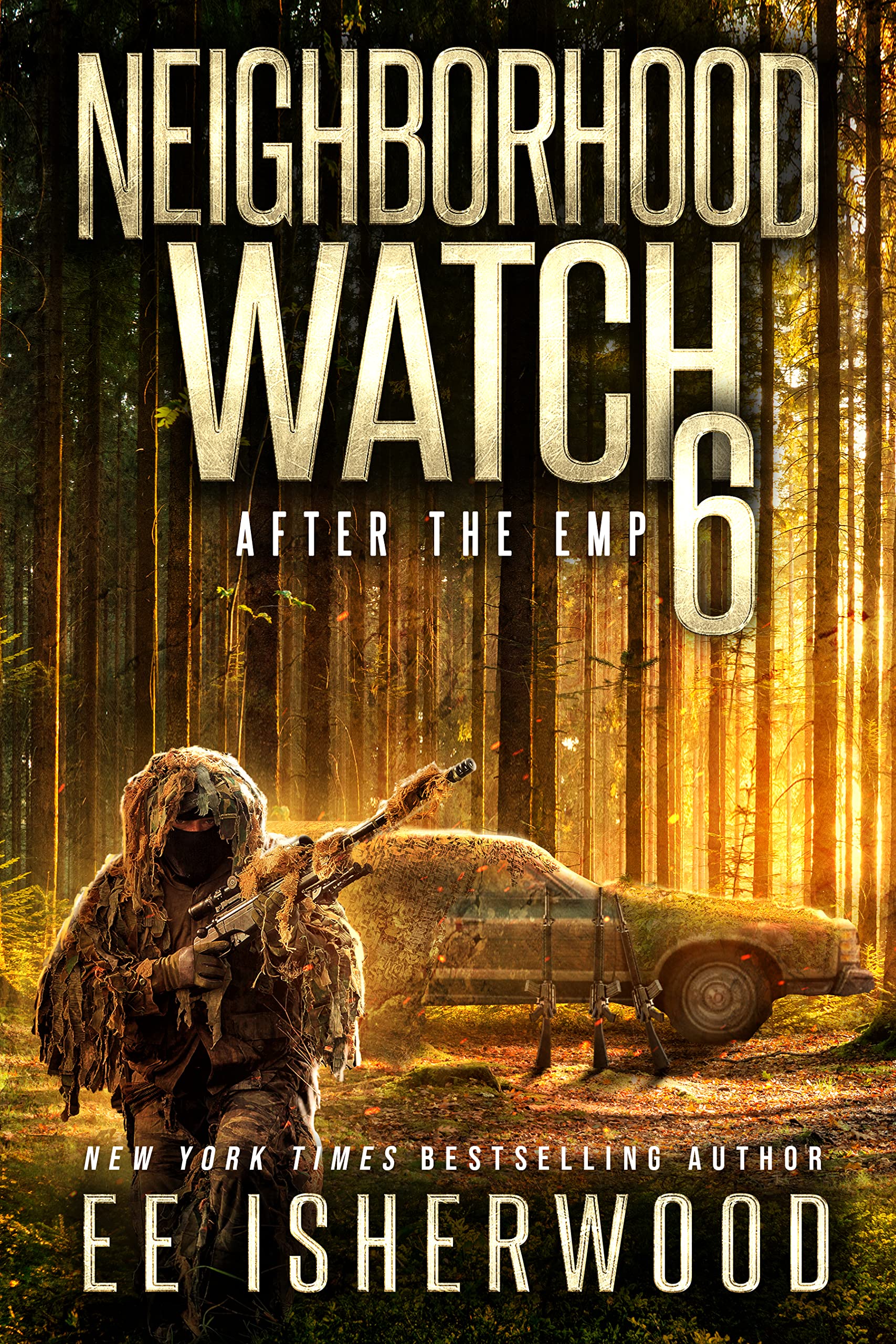 Neighborhood Watch 6 book cover