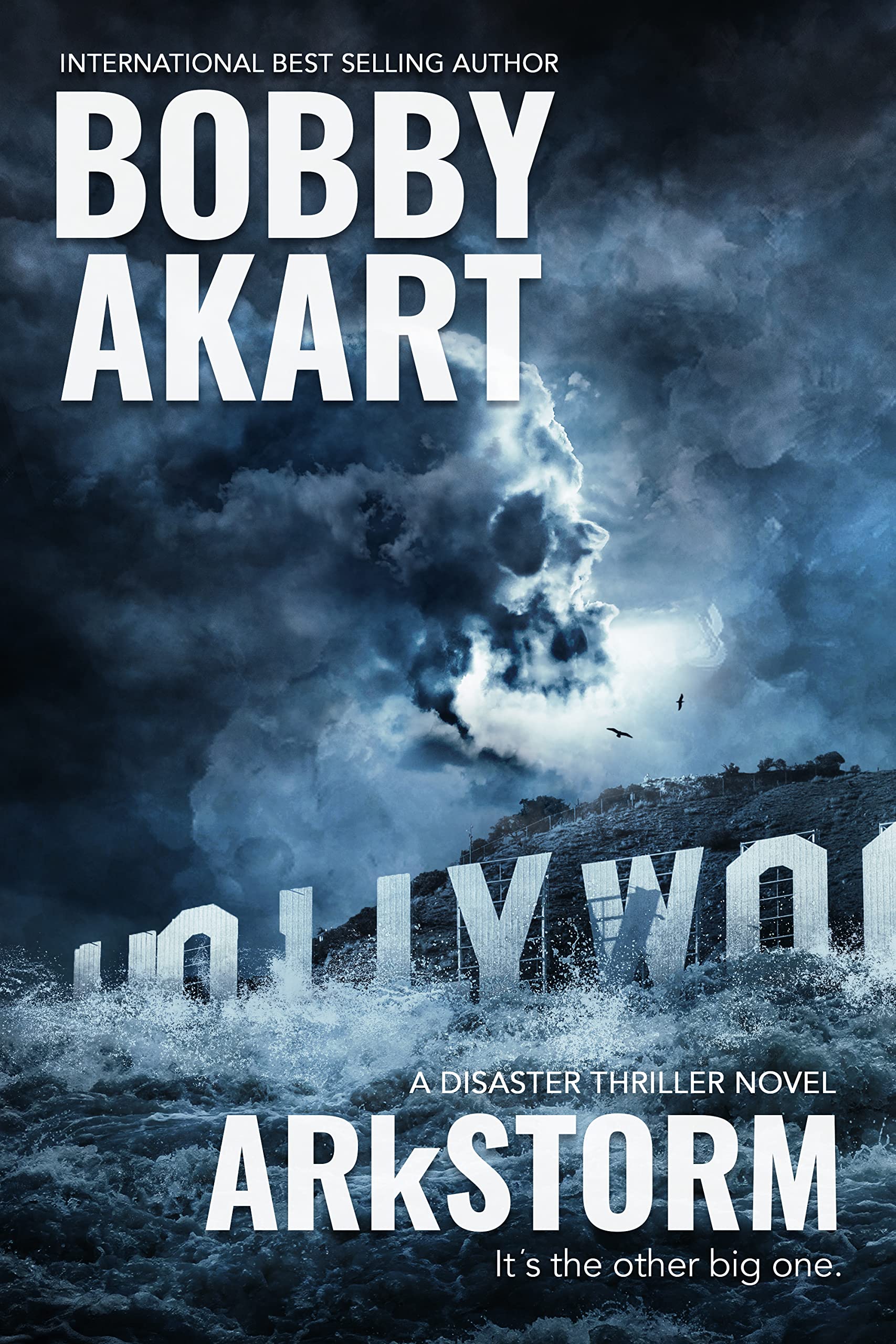 ARkStorm book cover