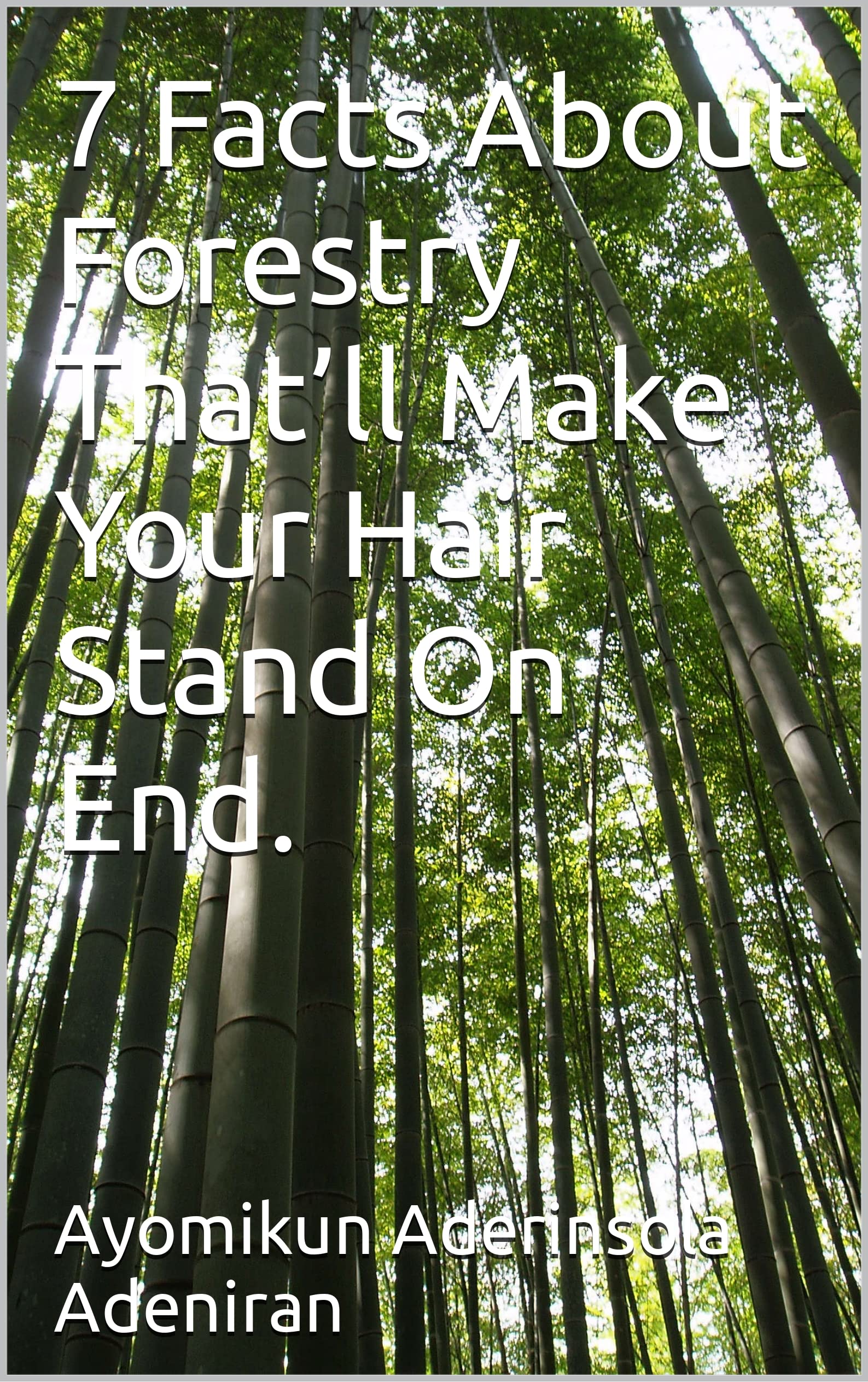 7 Facts About Forestry That’ll Make Your Hair Stand On End. by Ayomikun
