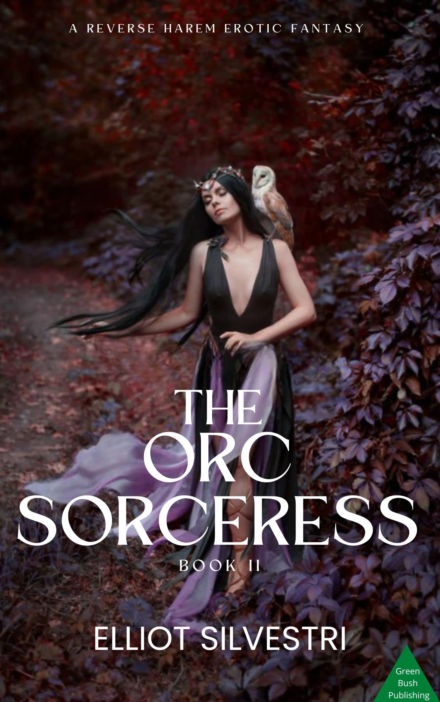 The Orc Sorceress Book II A Reverse Harem Fantasy Erotic