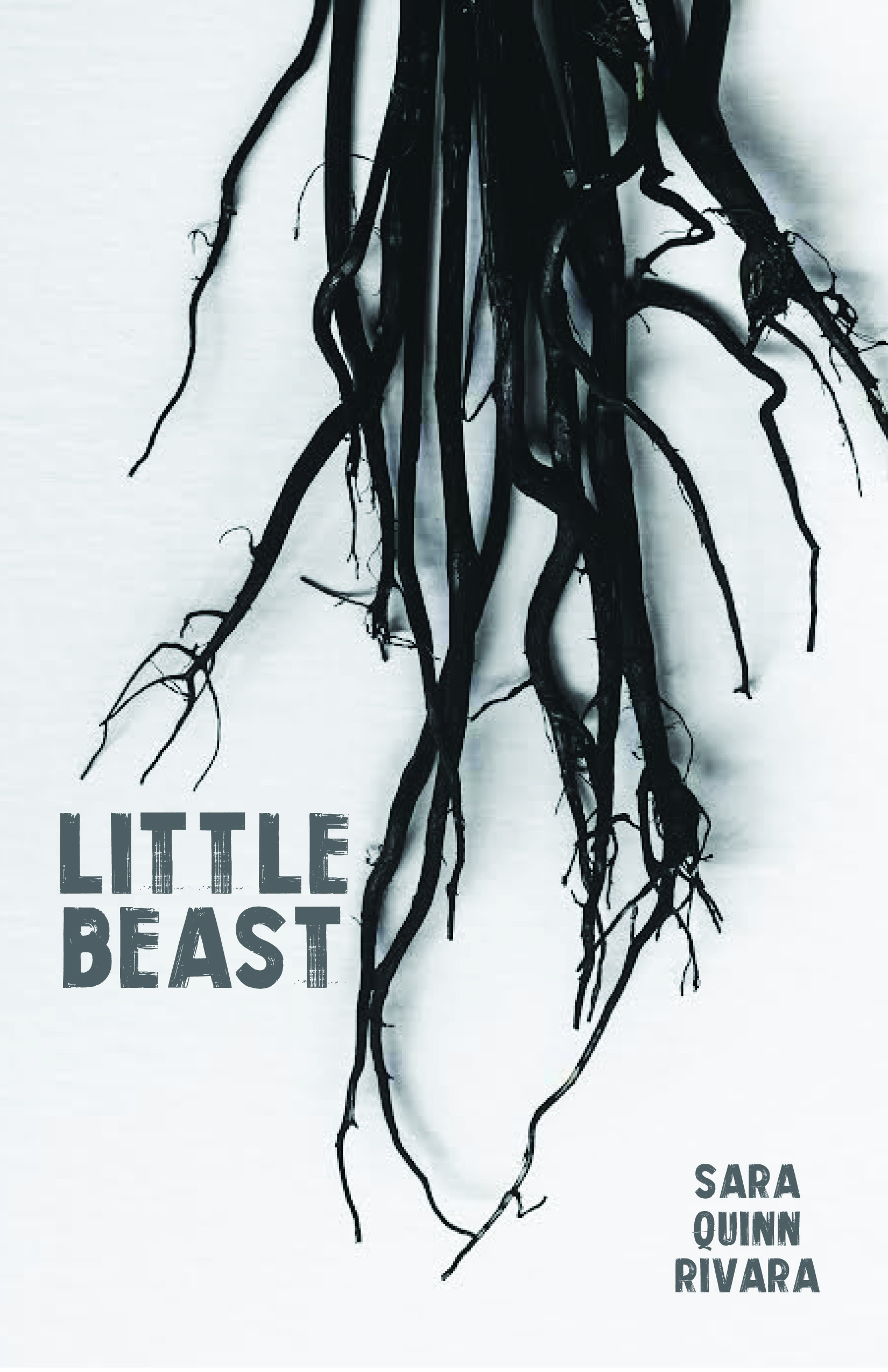 Little Beast