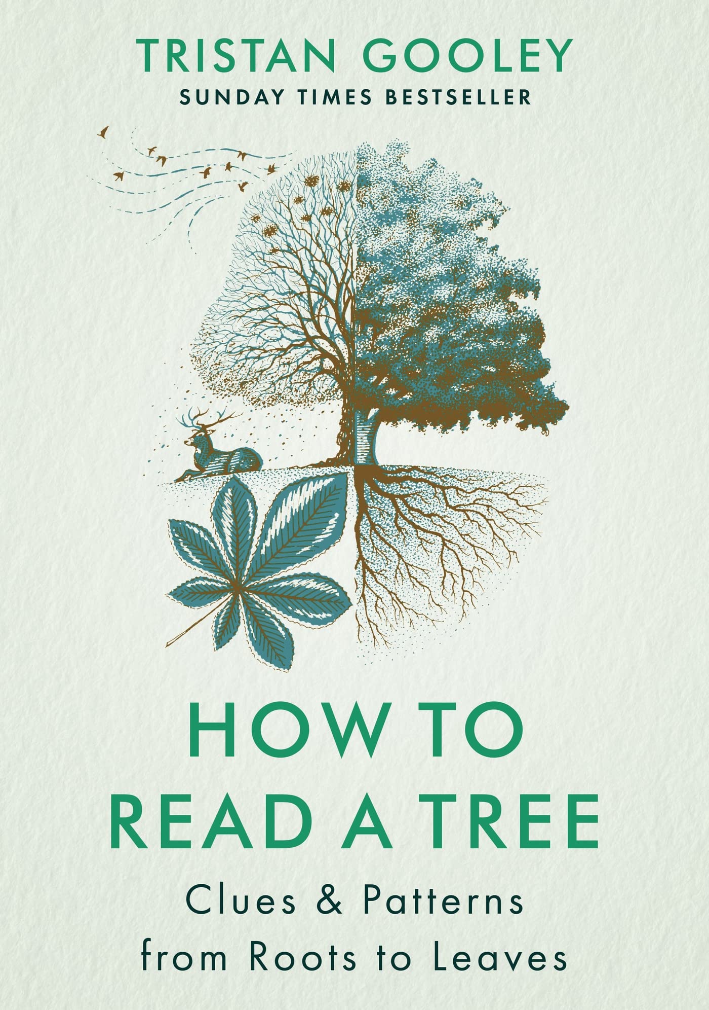 How to Read a Tree: Clues and Patterns from Bark to Leaves