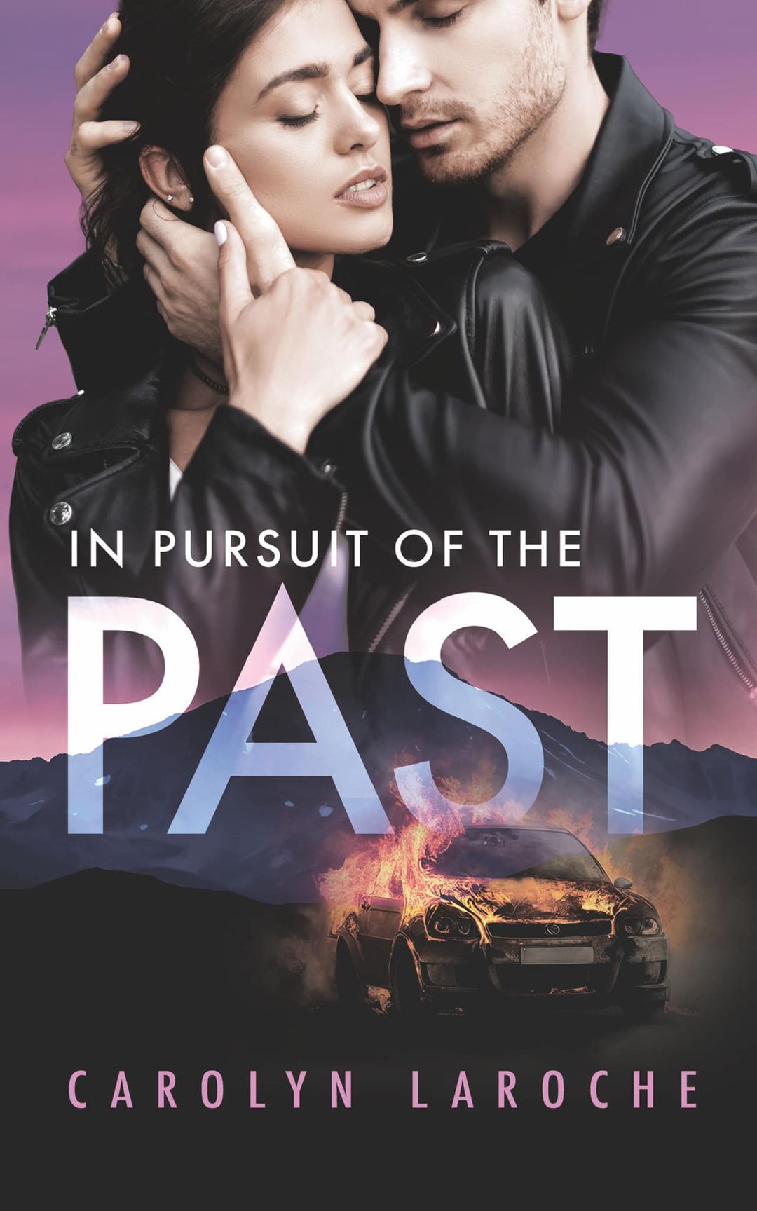 In Pursuit of the Past book cover