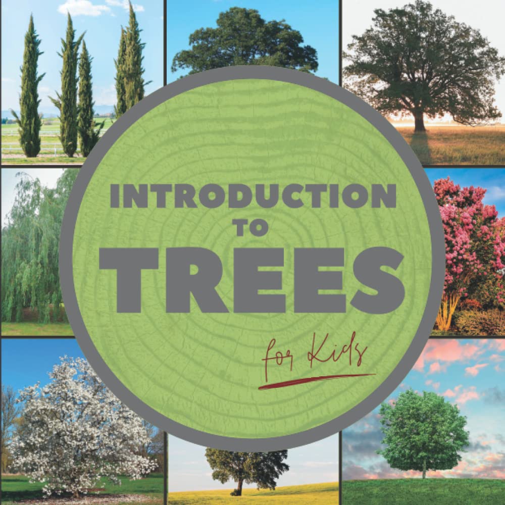 Introduction to Trees Tree Identification Book For Kids by Hello Wild