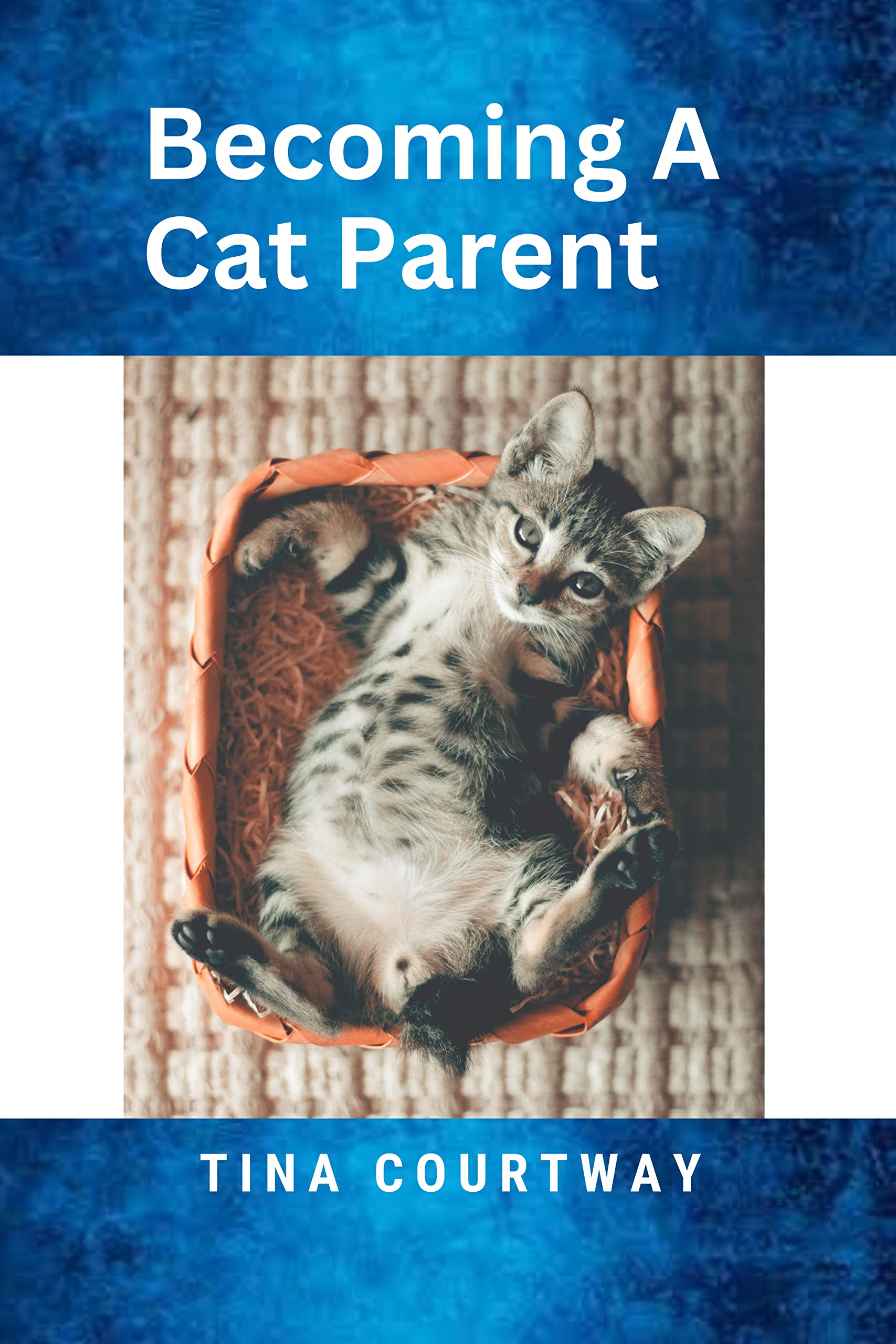 a Cat Parent Cat Basics and Things to Decide Before Getting a