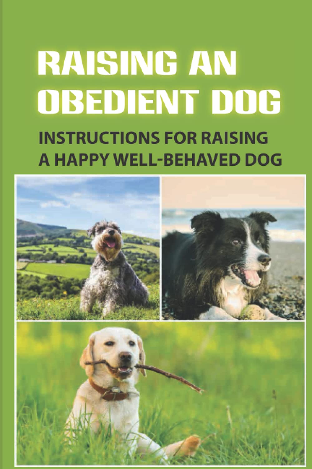 Raising An Obedient Dog Instructions For Raising A Happy WellBehaved