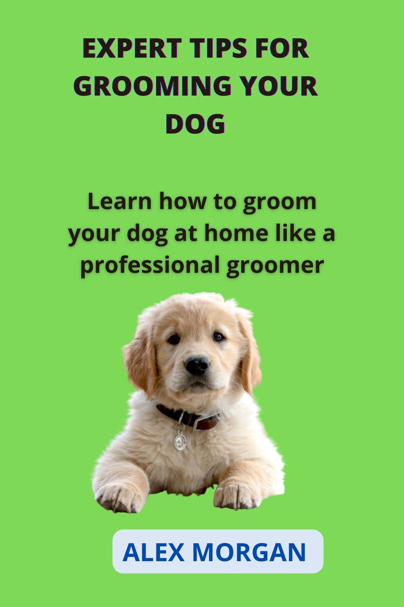 EXPERT TIPS FOR GROOMING YOUR DOG Learn how to groom your dog at home like a professional