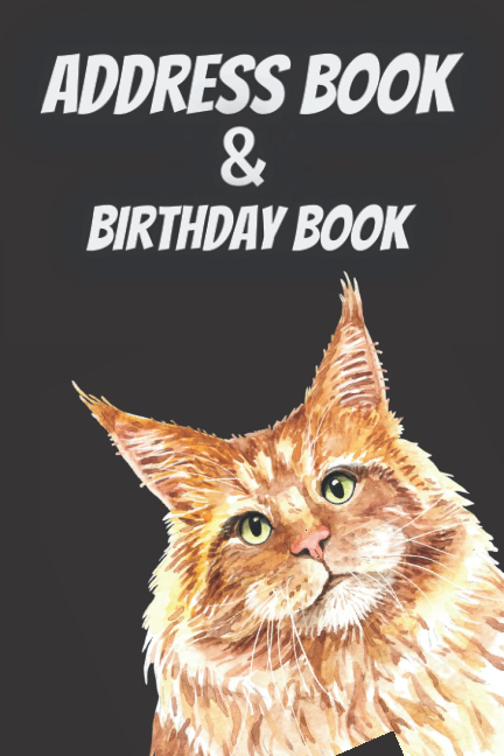 Address book & Birthday book Alphabetical Organizer Journal, Address