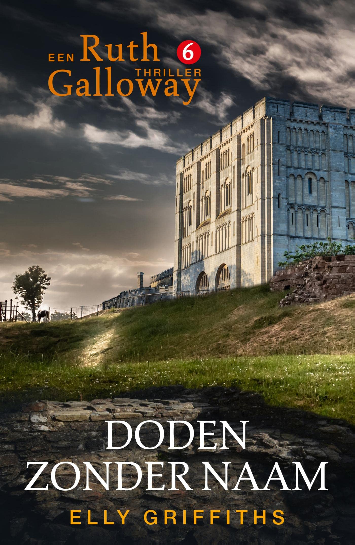 Doden zonder naam (Ruth Galloway #6) by Elly Griffiths | Goodreads