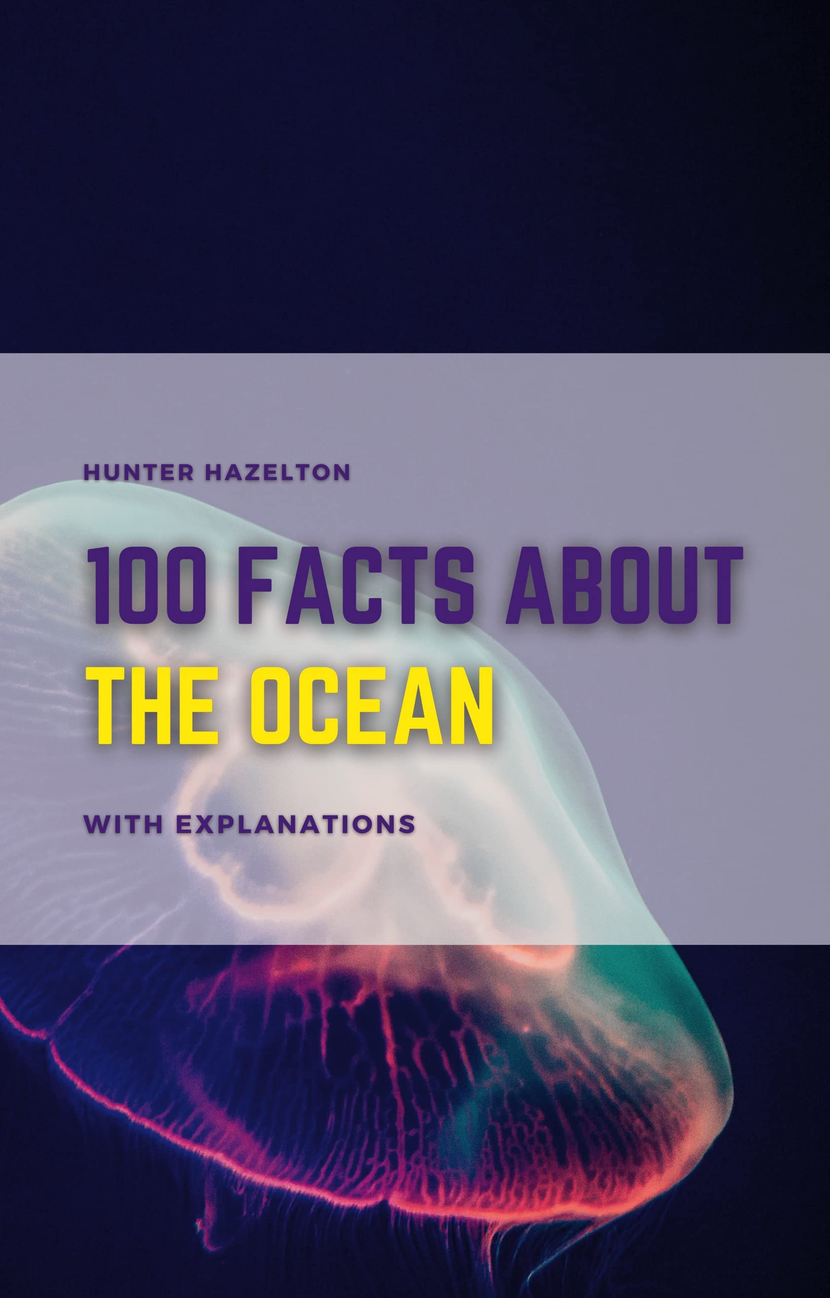 100 Facts About The Ocean With Explanations The Secrets of the Sea
