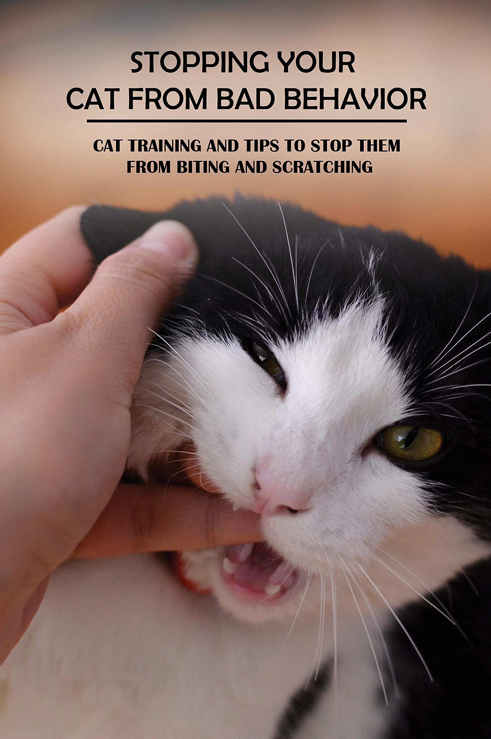 Stopping Your Cat From Bad Behavior Cat Training And Tips To Stop Them From Biting And