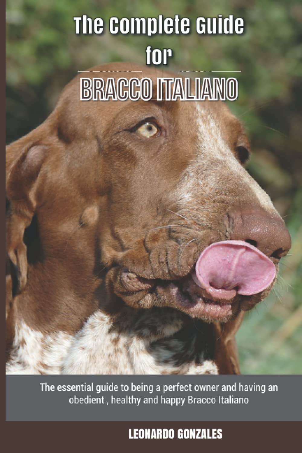 The Complete Guide for Bracco Italiano: The essential guide to being a ...