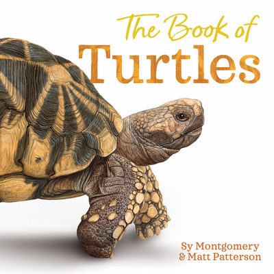 The Book of Turtles book cover