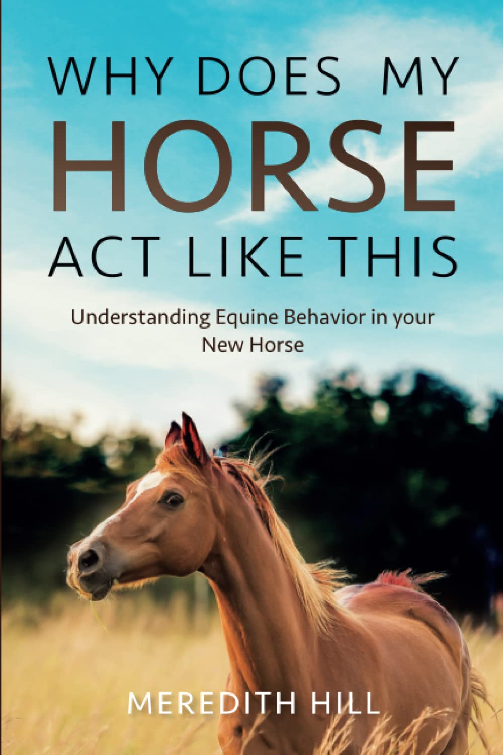 Why Does My Horse Act Like This? Understanding Equine Behavior in your