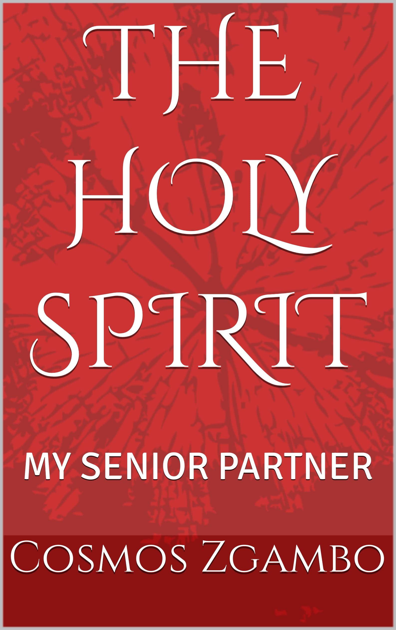 THE HOLY SPIRIT MY SENIOR PARTNER By Cosmos Zgambo Goodreads the-holy-spirit-my-senior-partner-by-cosmos-zgambo-goodreads