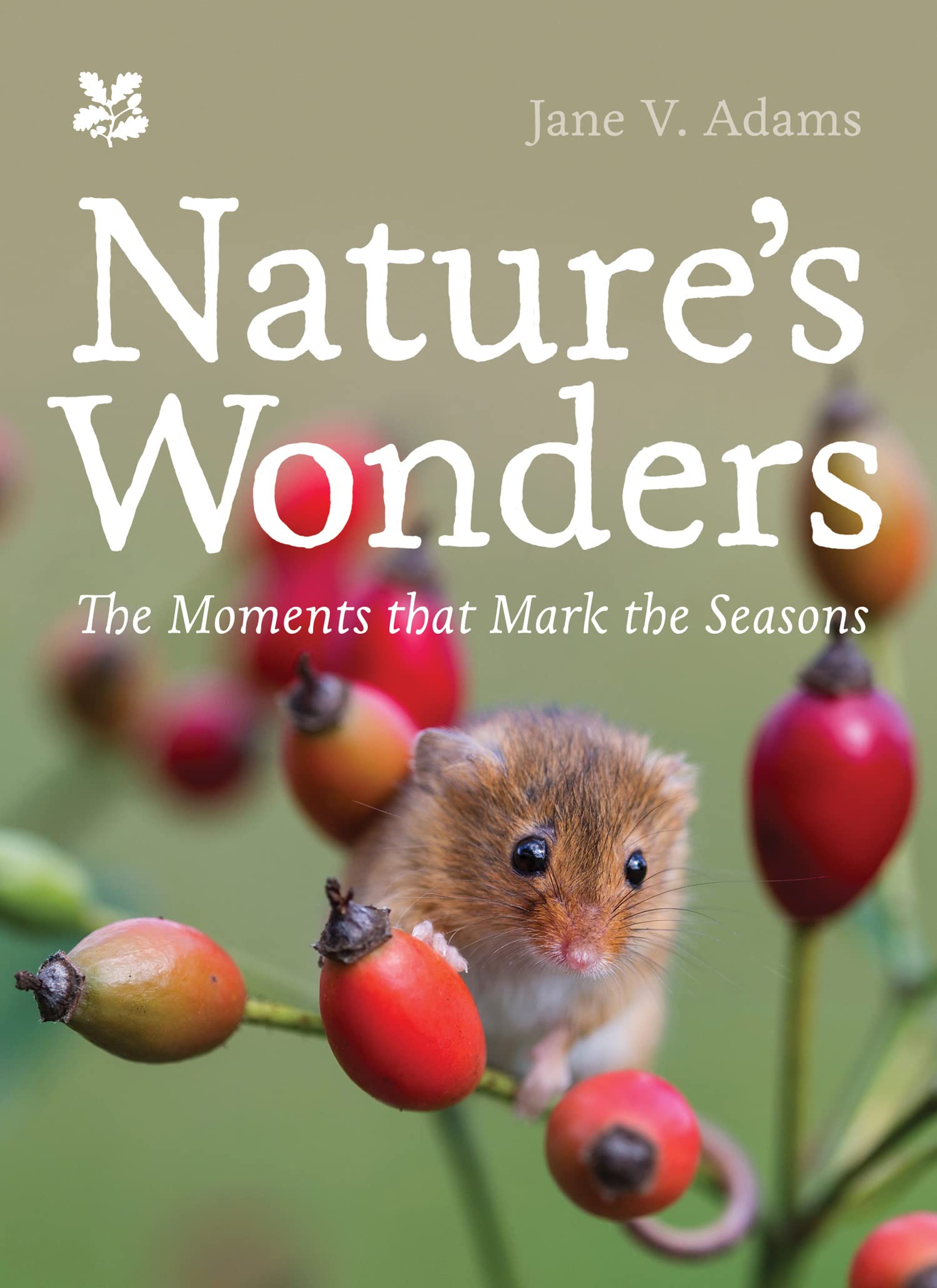 Nature’s Wonders: Moments that Mark the Seasons