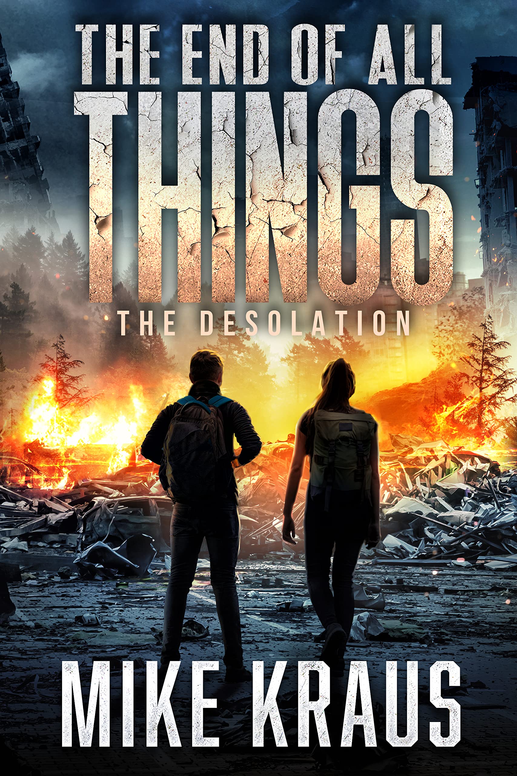 The Desolation book cover