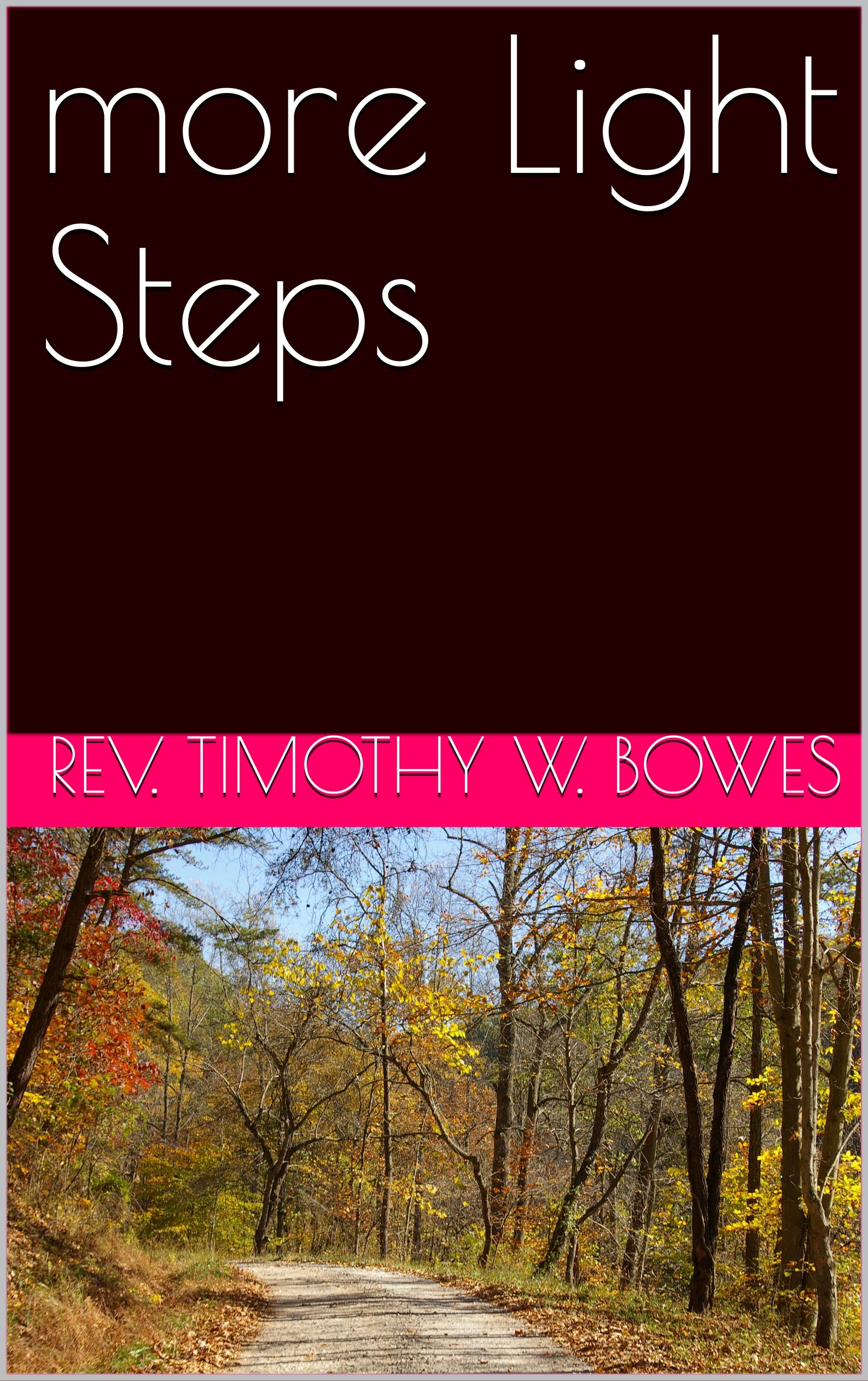 more Light Steps by Rev. Timothy W. Bowes Goodreads