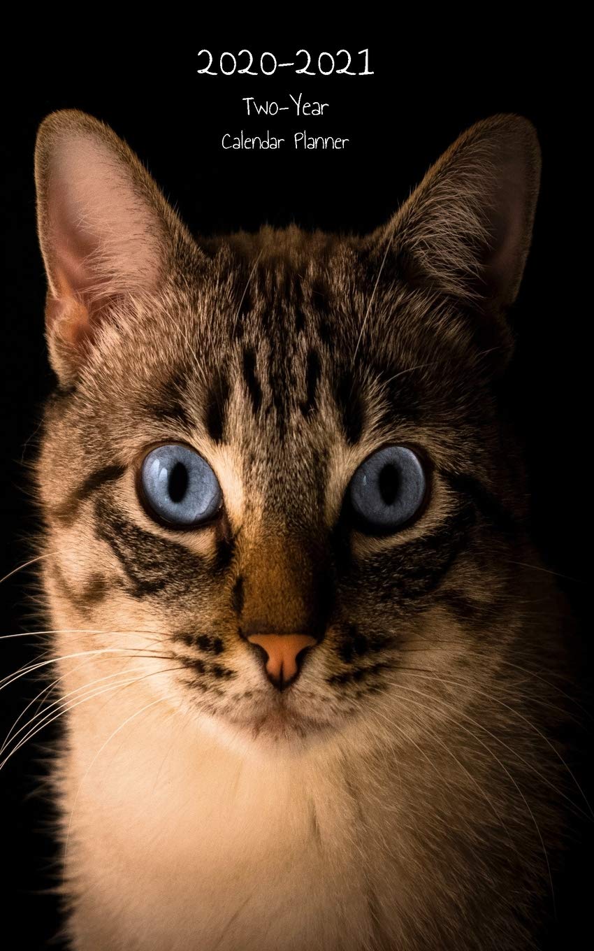 Two-Year Pocket Calendar Planner: Pocket Agenda Purse Size With Notes 