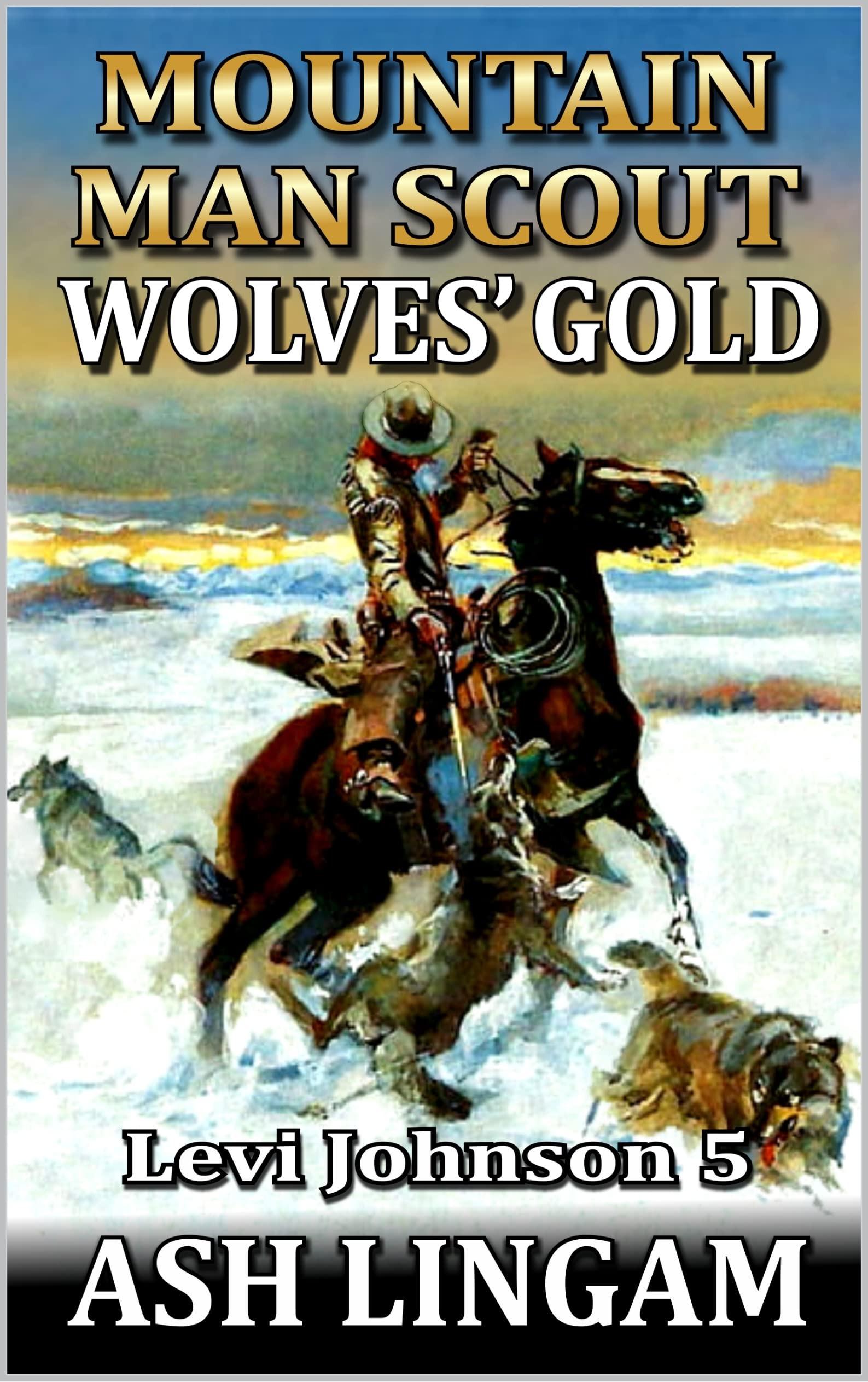 Levi Johnson book cover