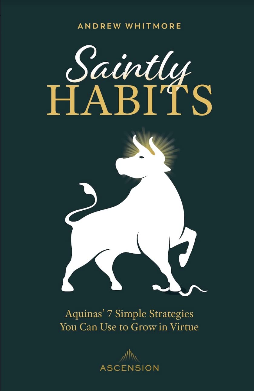 Saintly Habits: Aquinas' 7 Simple Strategies You Can Use to Grow in Virtue