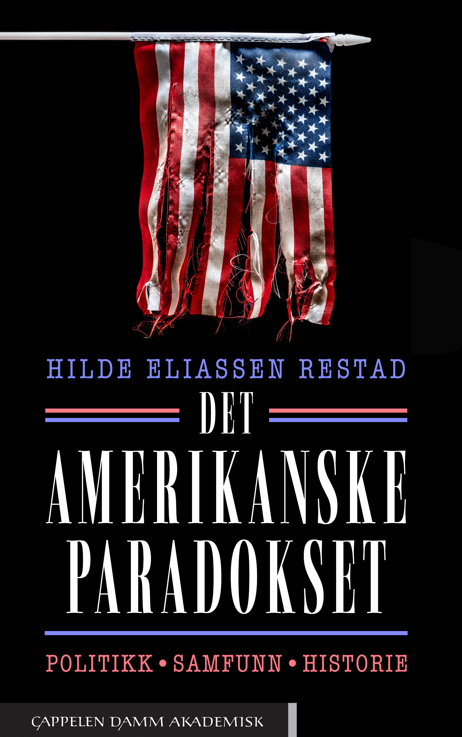 Det amerikanske paradokset: Politikk, samfunn, historie