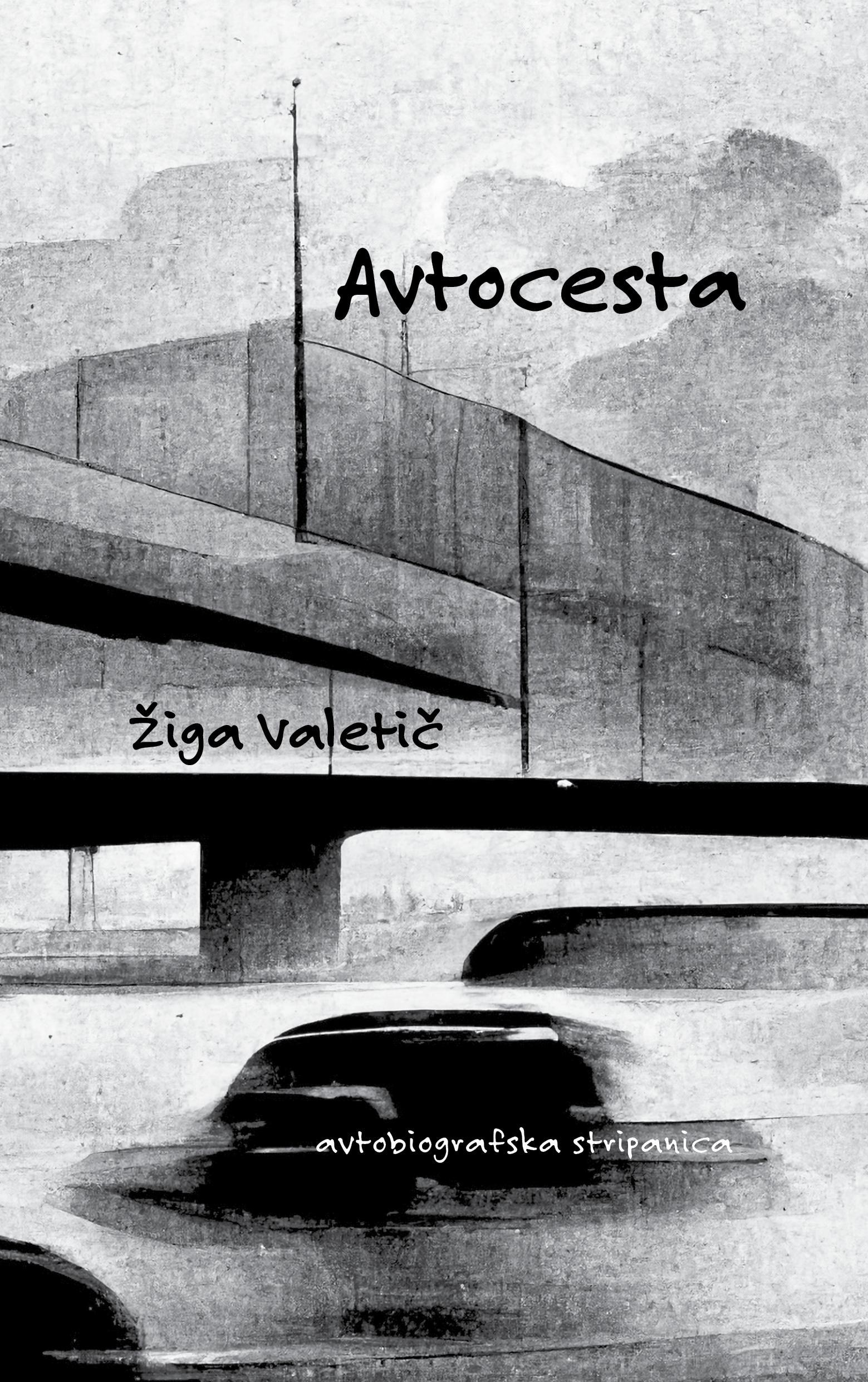 Avtocesta : avtobiografska stripanica