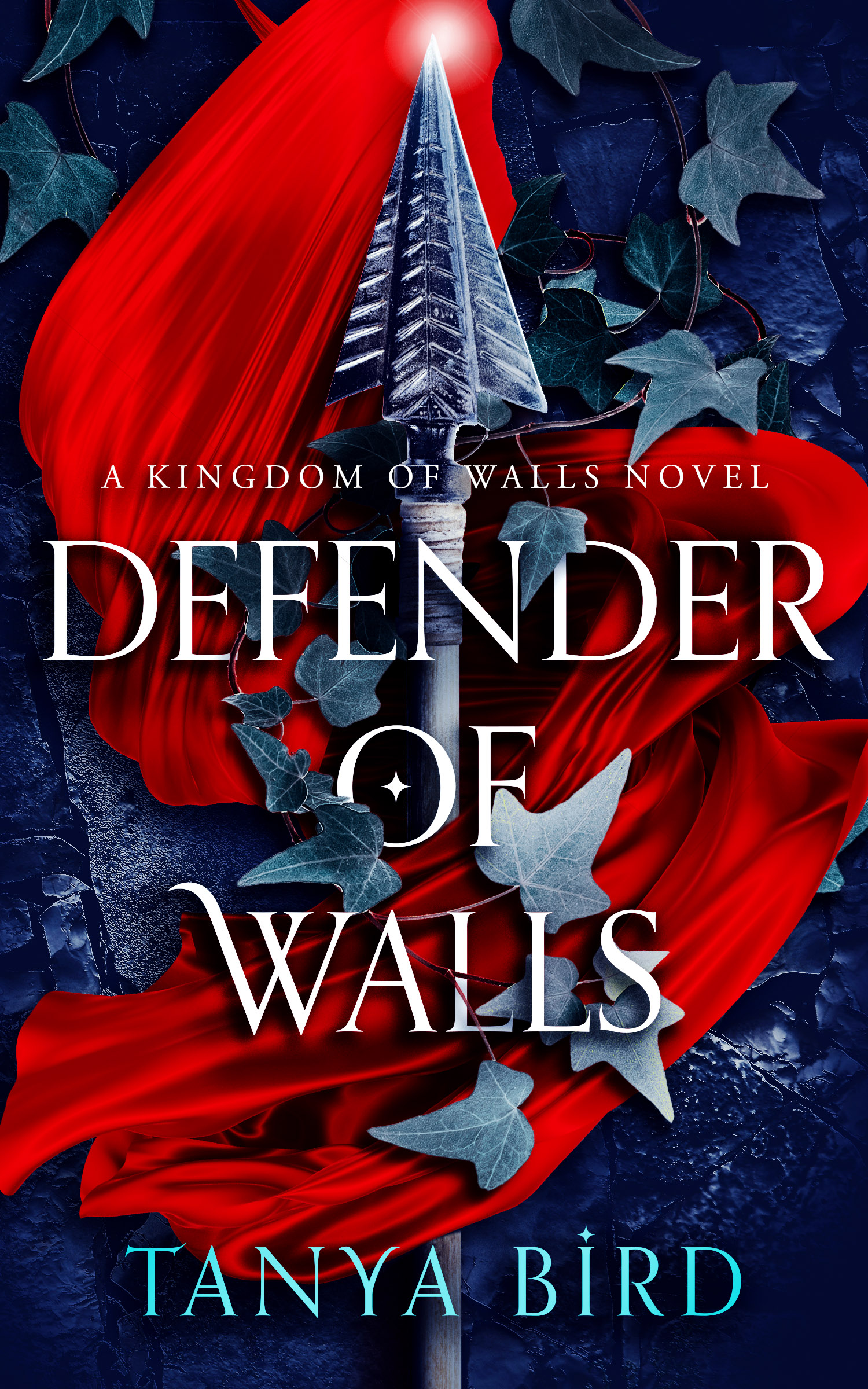 Defender of Walls (Kingdom of Walls, #1)