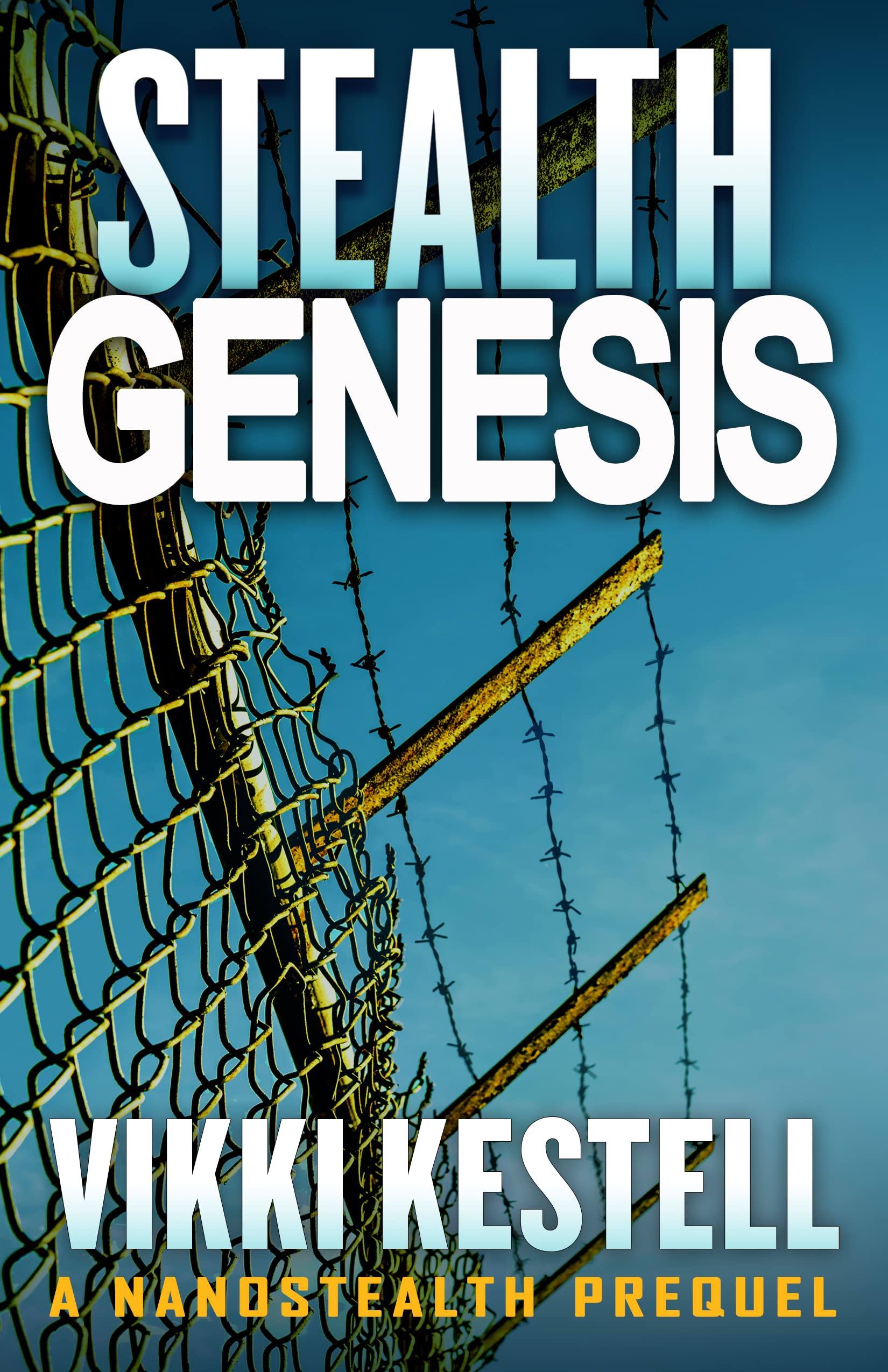 Nanostealth book cover 1