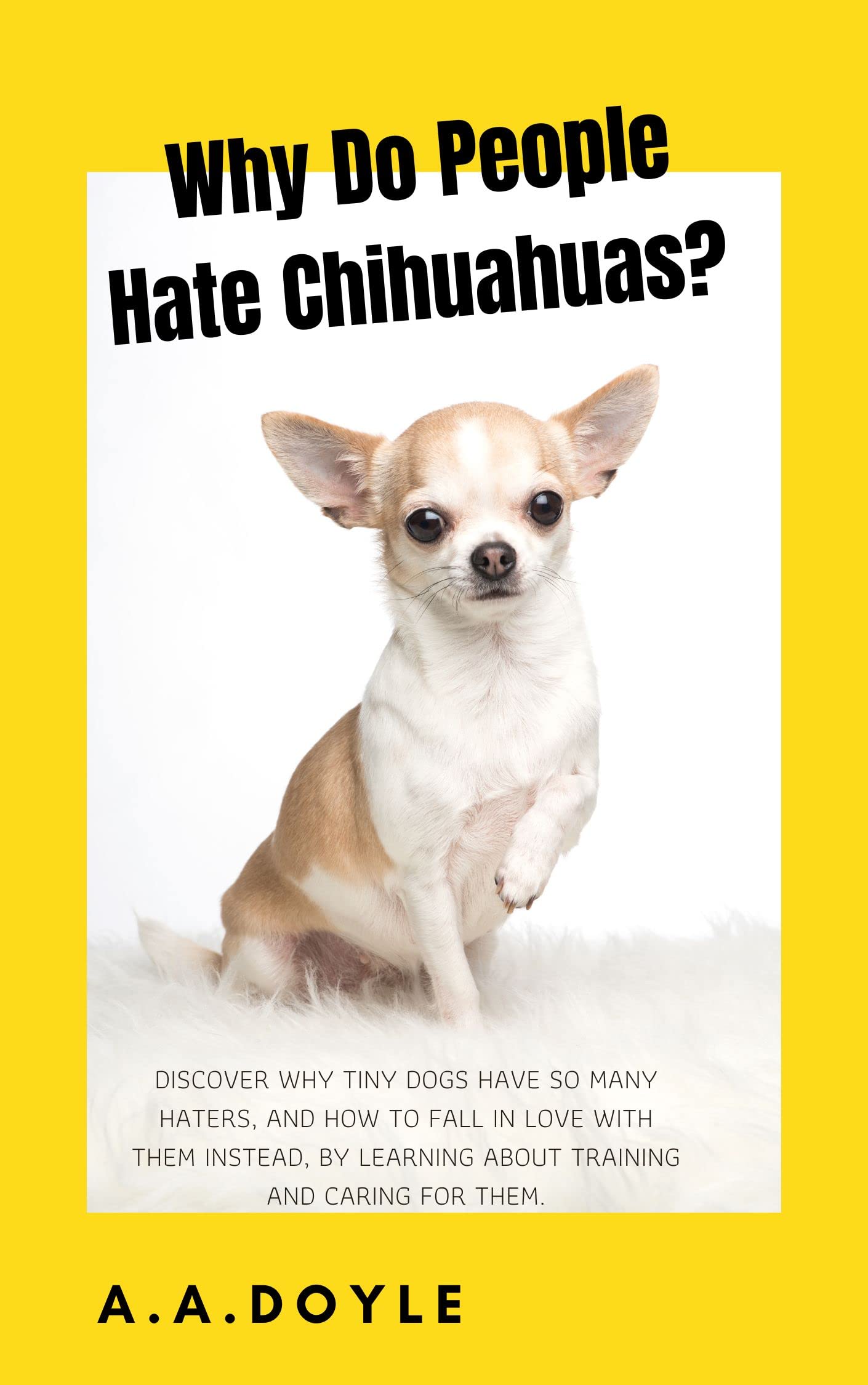 Why Do People Hate Chihuahuas? Discover why tiny dogs have so many