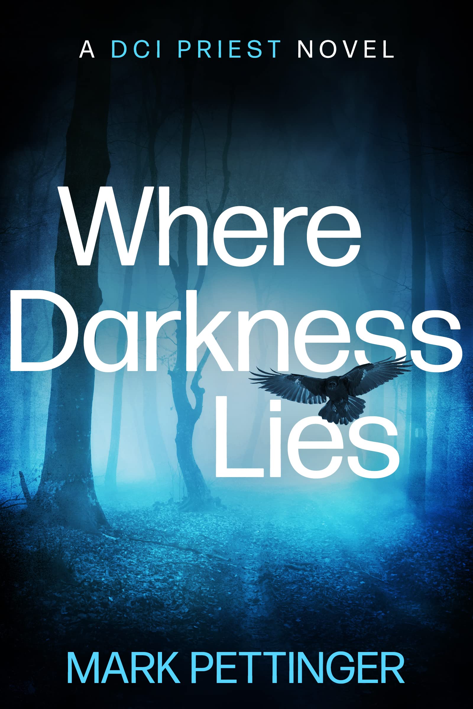 Where Darkness Lies: