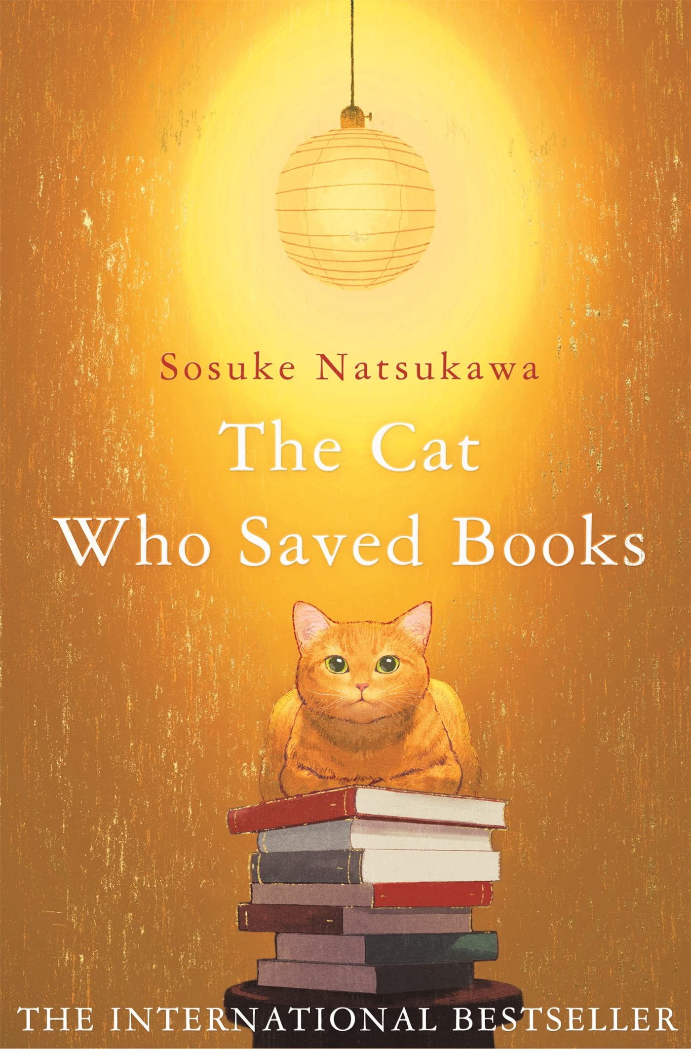 The Cat Who Saved Books (The Cat Who..., #1)