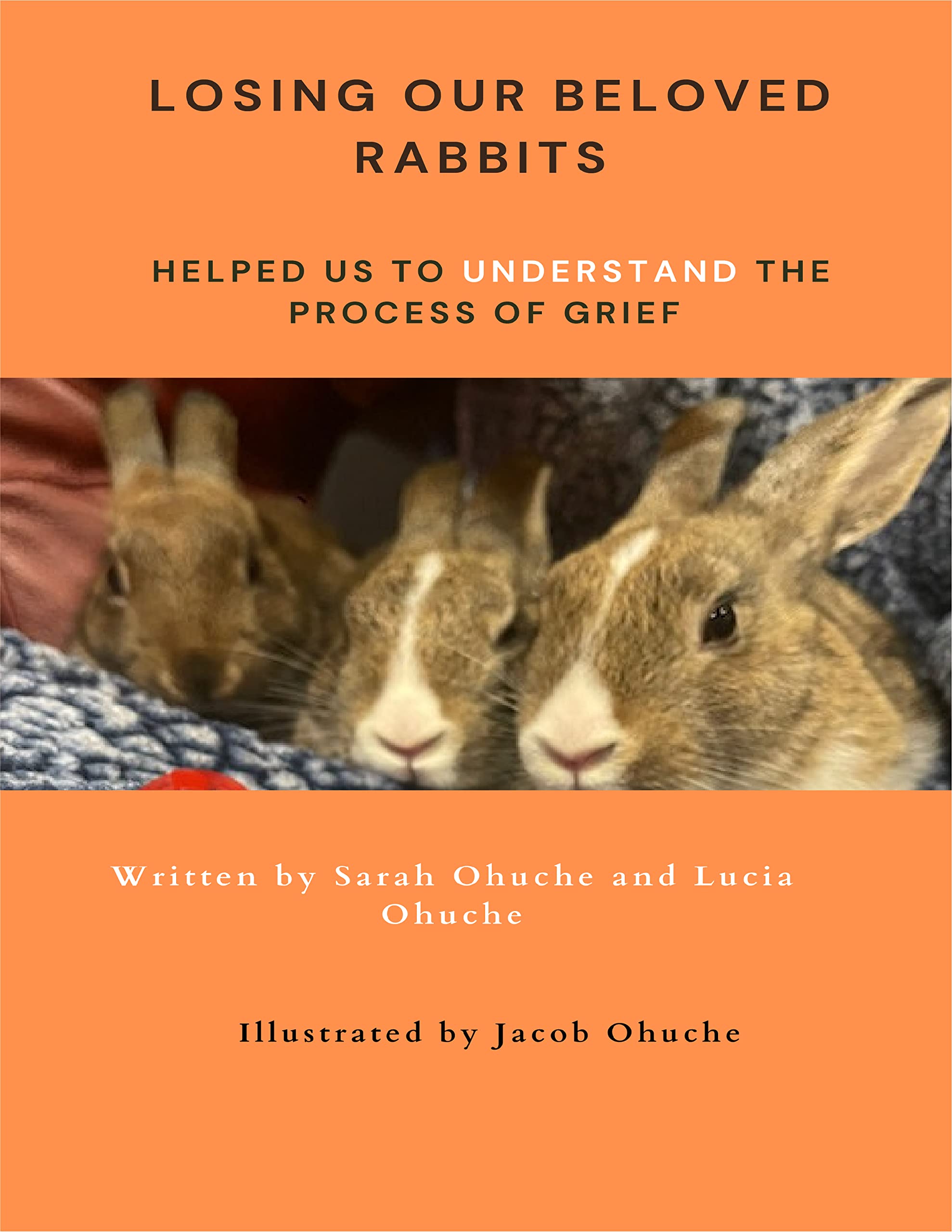Losing our beloved rabbits Helped us to learn the process of grief by