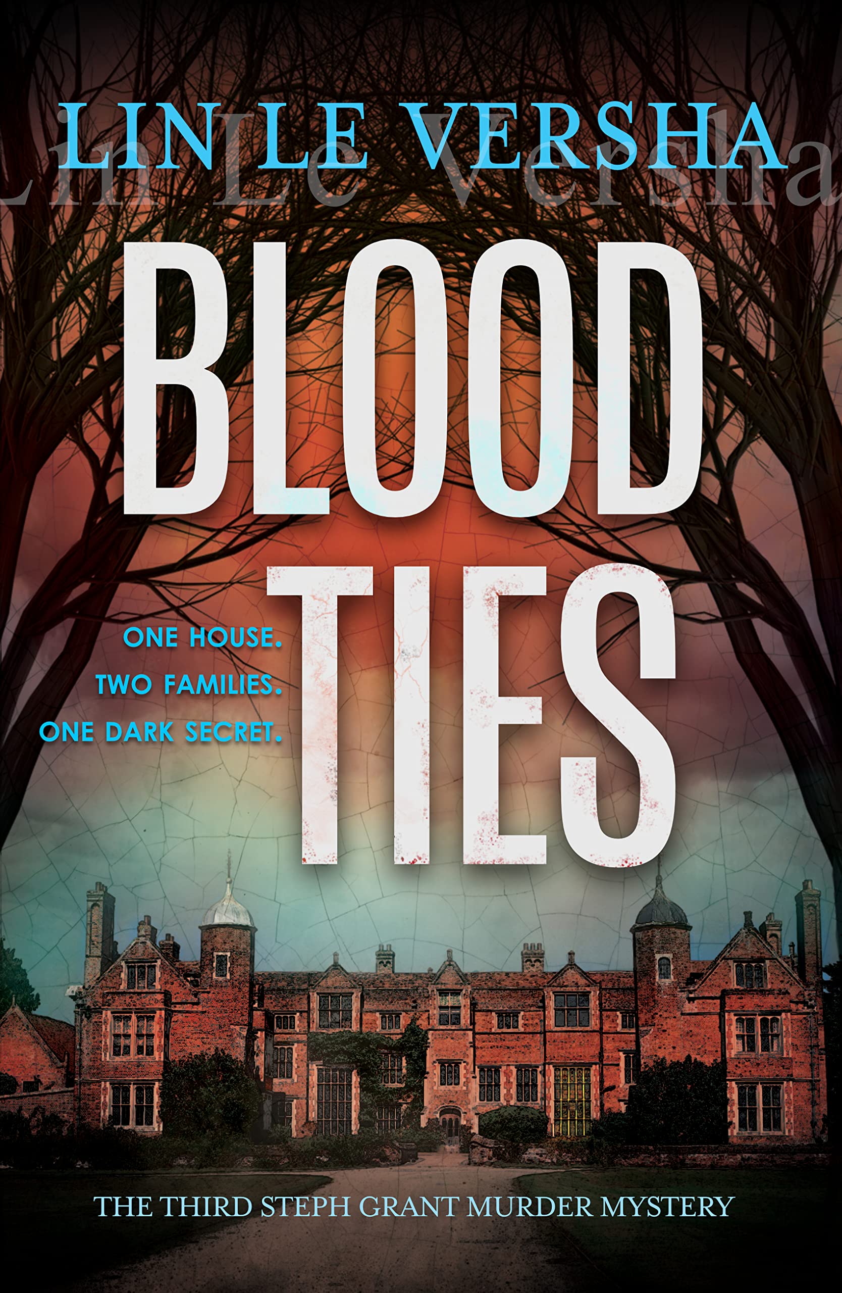 Blood Ties: A gripping Suffolk coast murder mystery full of twists