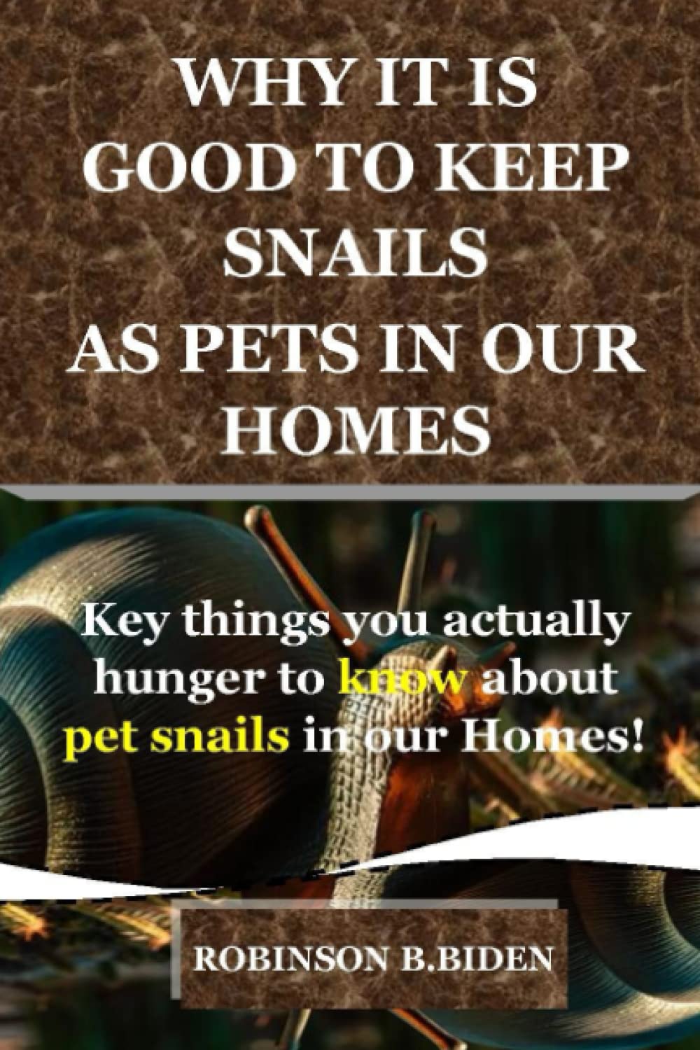 Why It Is Good To Keep Snails As Pets In Our Homes Key things you