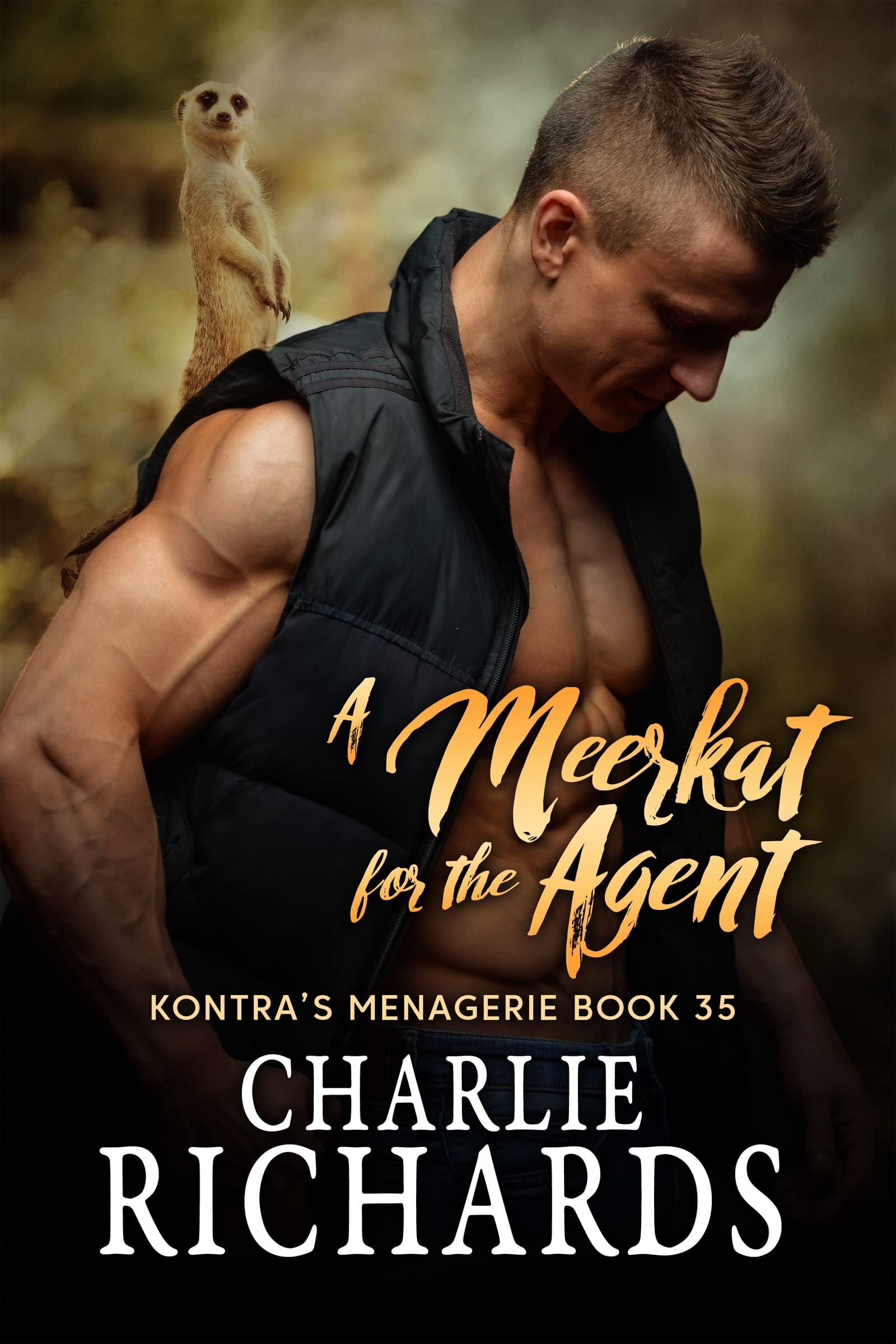 A Meerkat for the Agent book cover