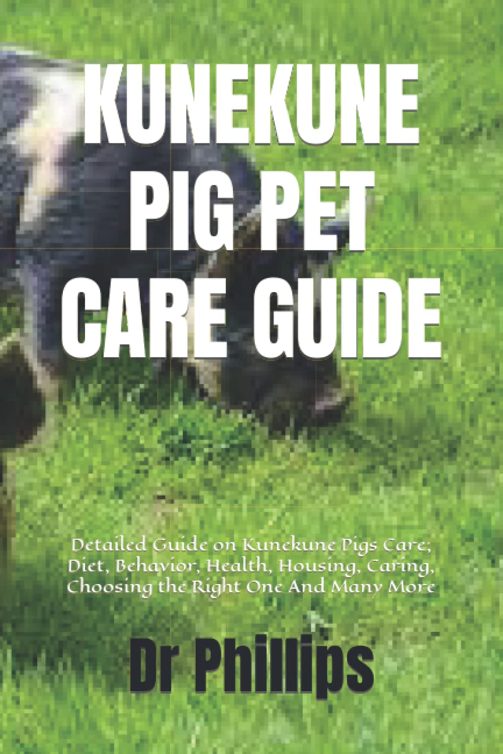 KUNEKUNE PIG PET CARE GUIDE Detailed Guide On Kunekune Pigs Care Diet kunekune-pig-pet-care-guide-detailed-guide-on-kunekune-pigs-care-diet