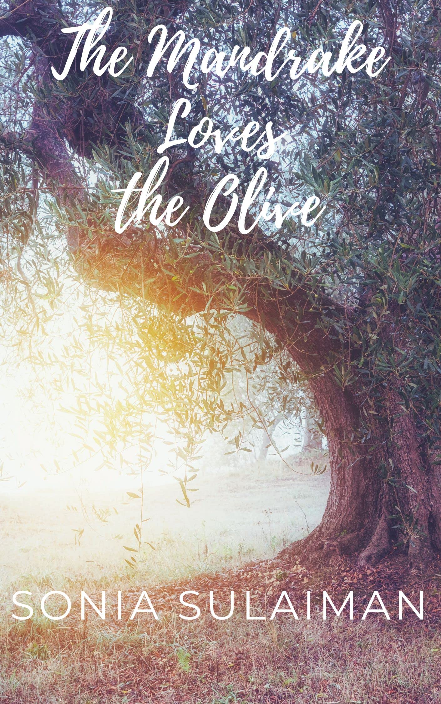 The Mandrake Loves the Olive book cover