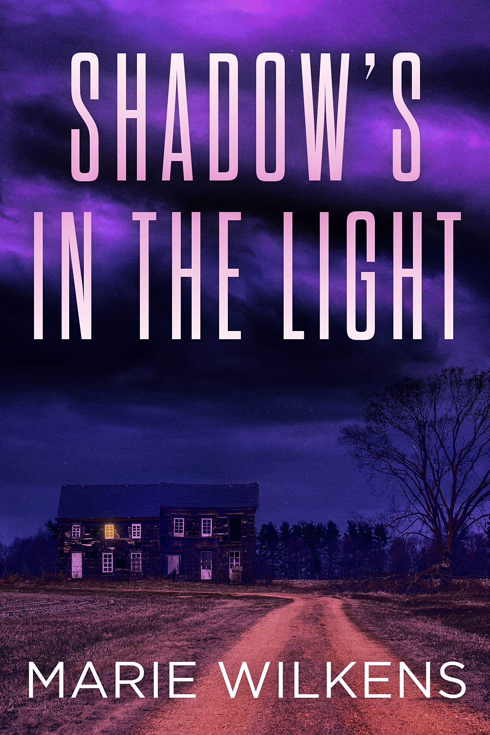 Shadows in the Light book cover