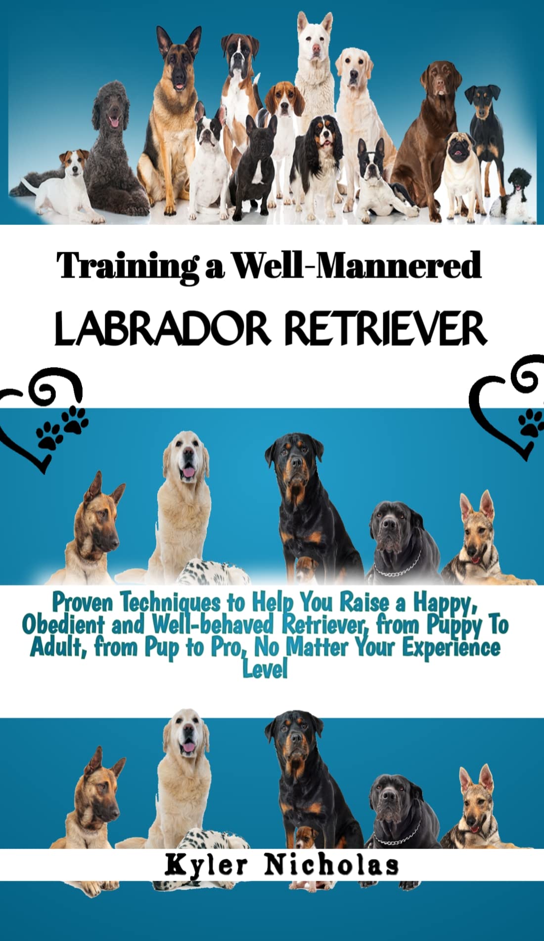 Training a WellMannered Labrador Retriever Proven Techniques to Help