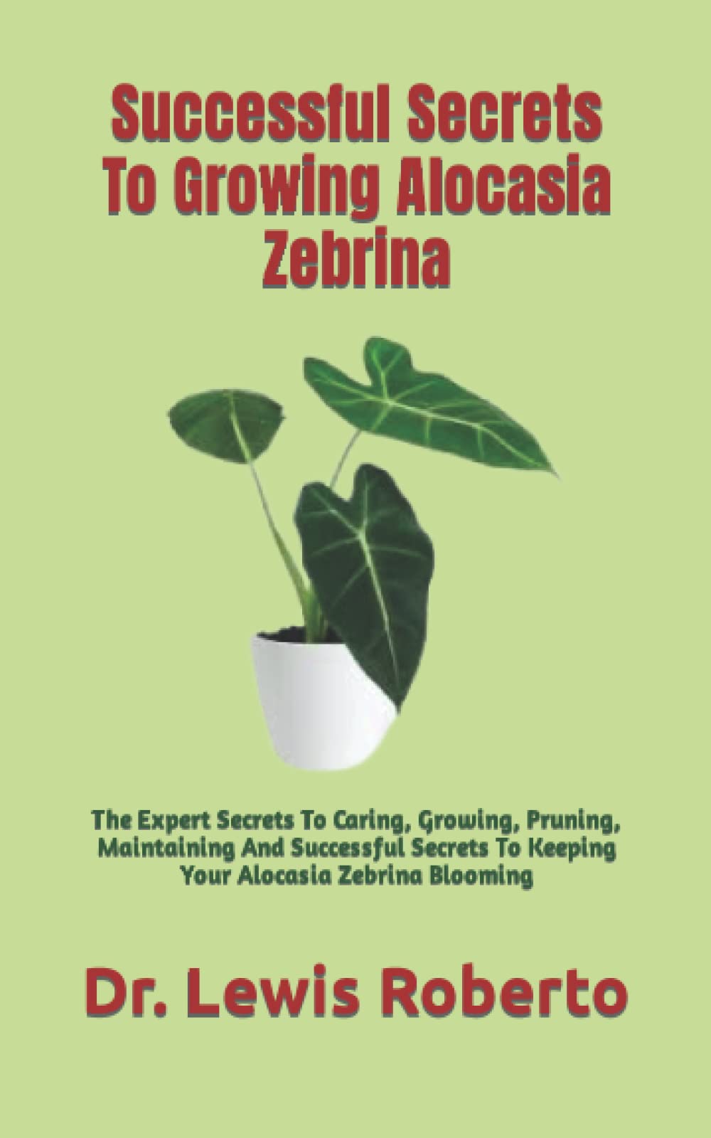 Successful Secrets To Growing Alocasia Zebrina The Expert Secrets To