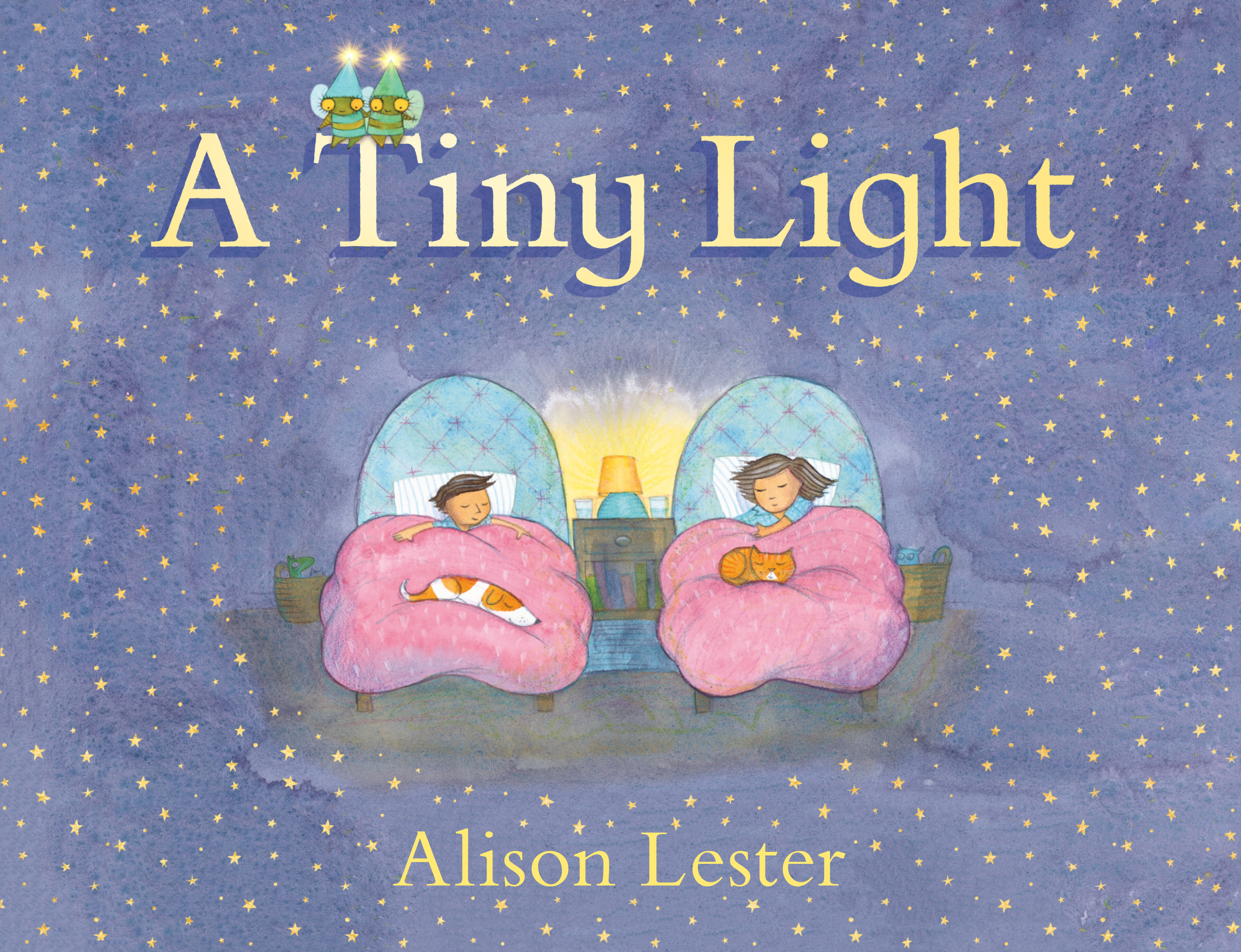 A Tiny Light book cover