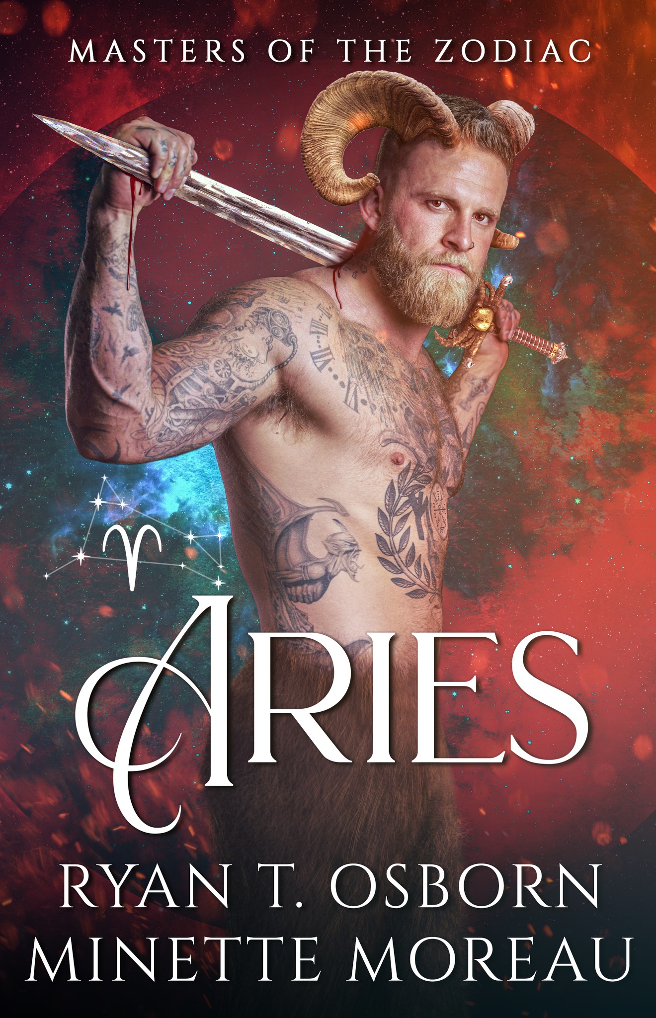 Aries book cover