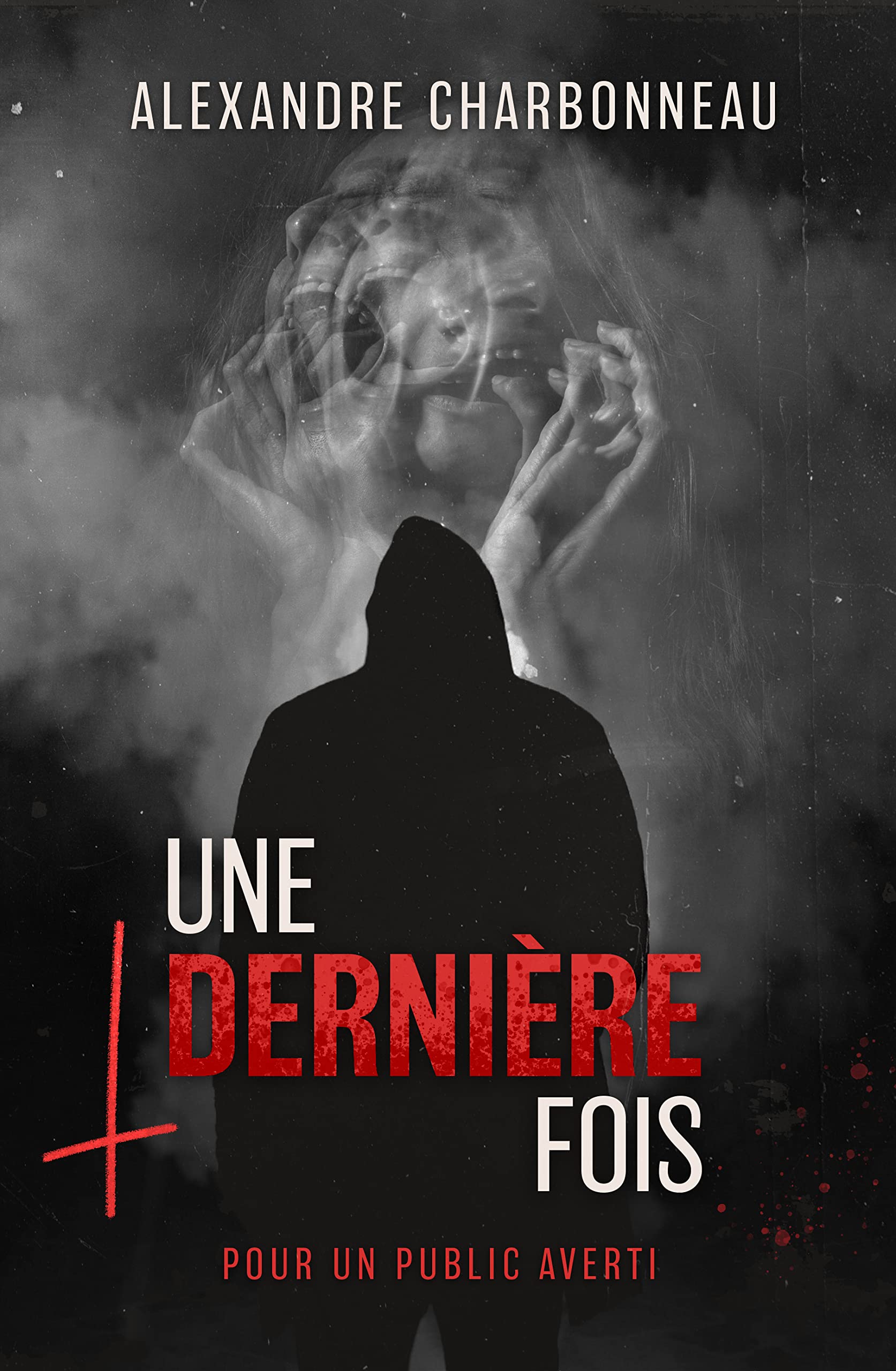 Une dernière fois book cover