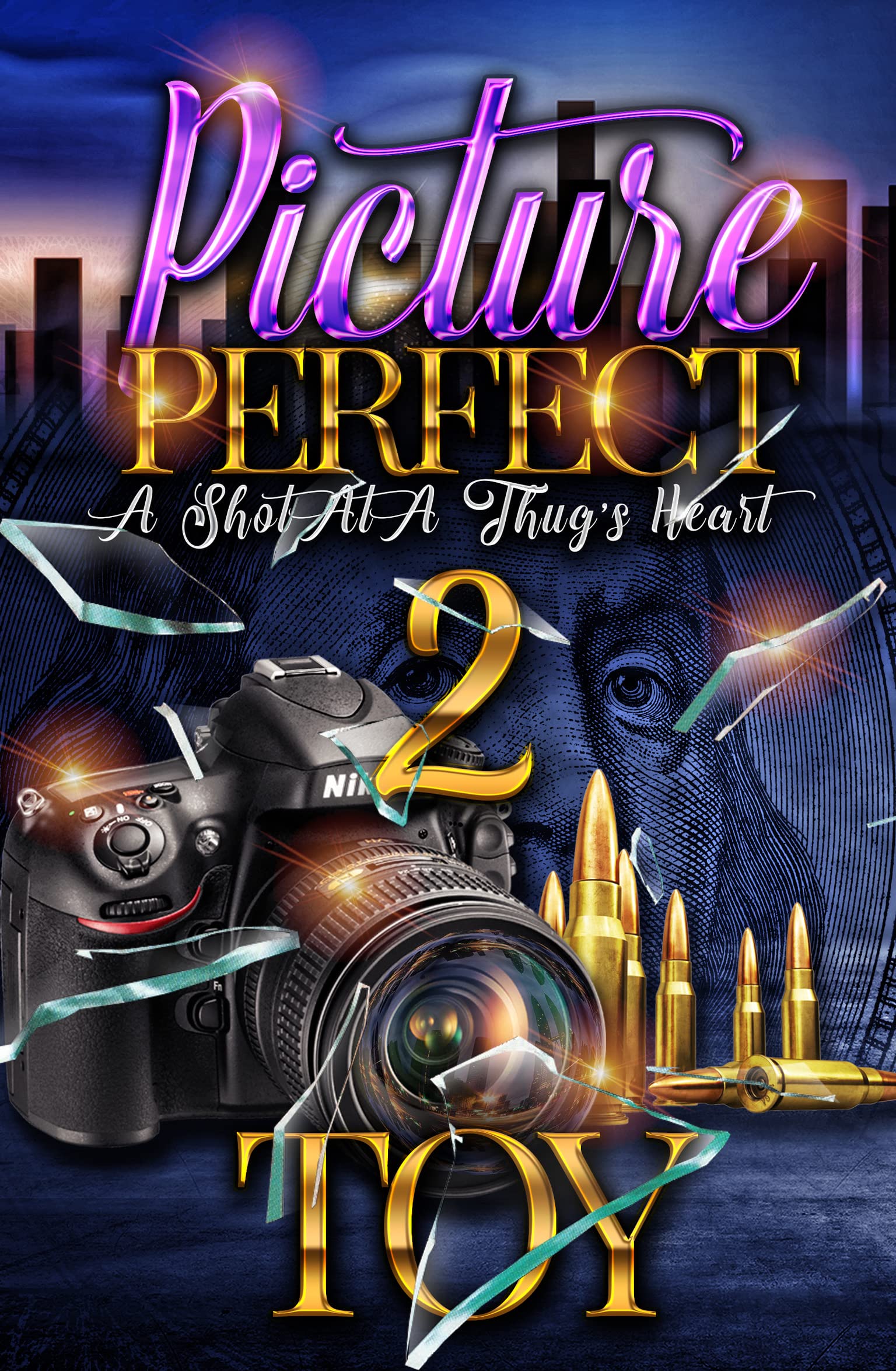 Picture Perfect 2 book cover