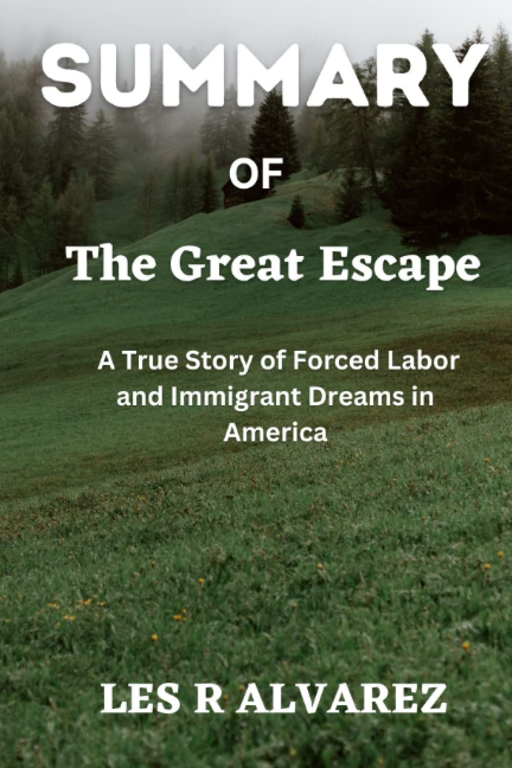SUMMARY OF The Great Escape A True Story of Forced Labor and Immigrant