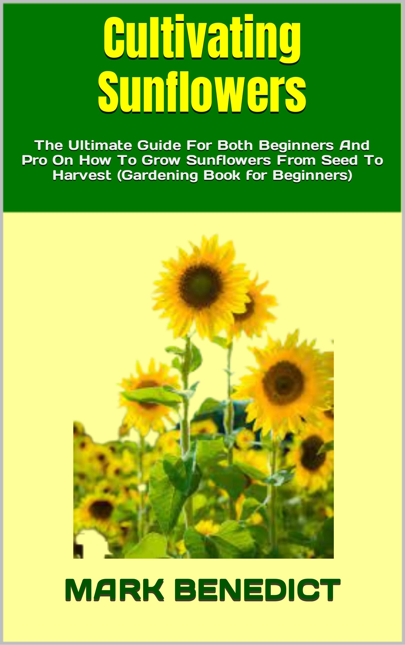 Cultivating Sunflowers The Ultimate Guide For Both Beginners And Pro On How To Grow Sunflowers
